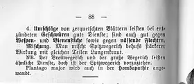 Spitzwegerich