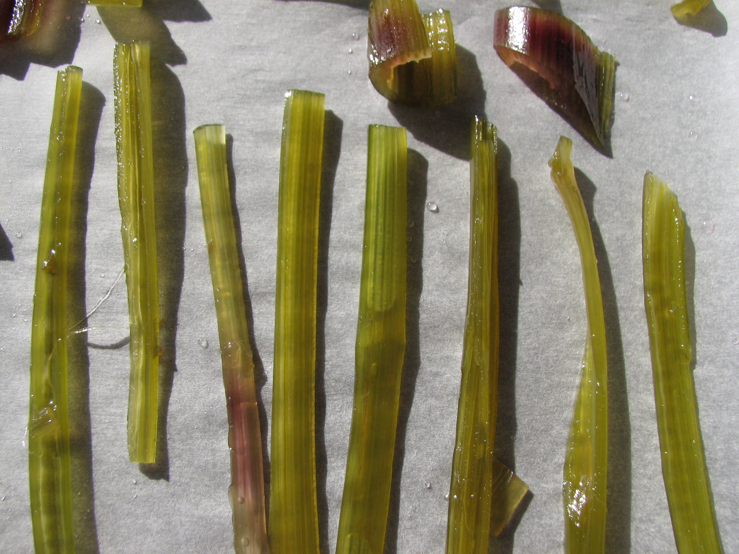 Kandierte Engelwurzstängel