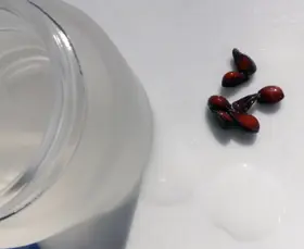 Quitten-Gel