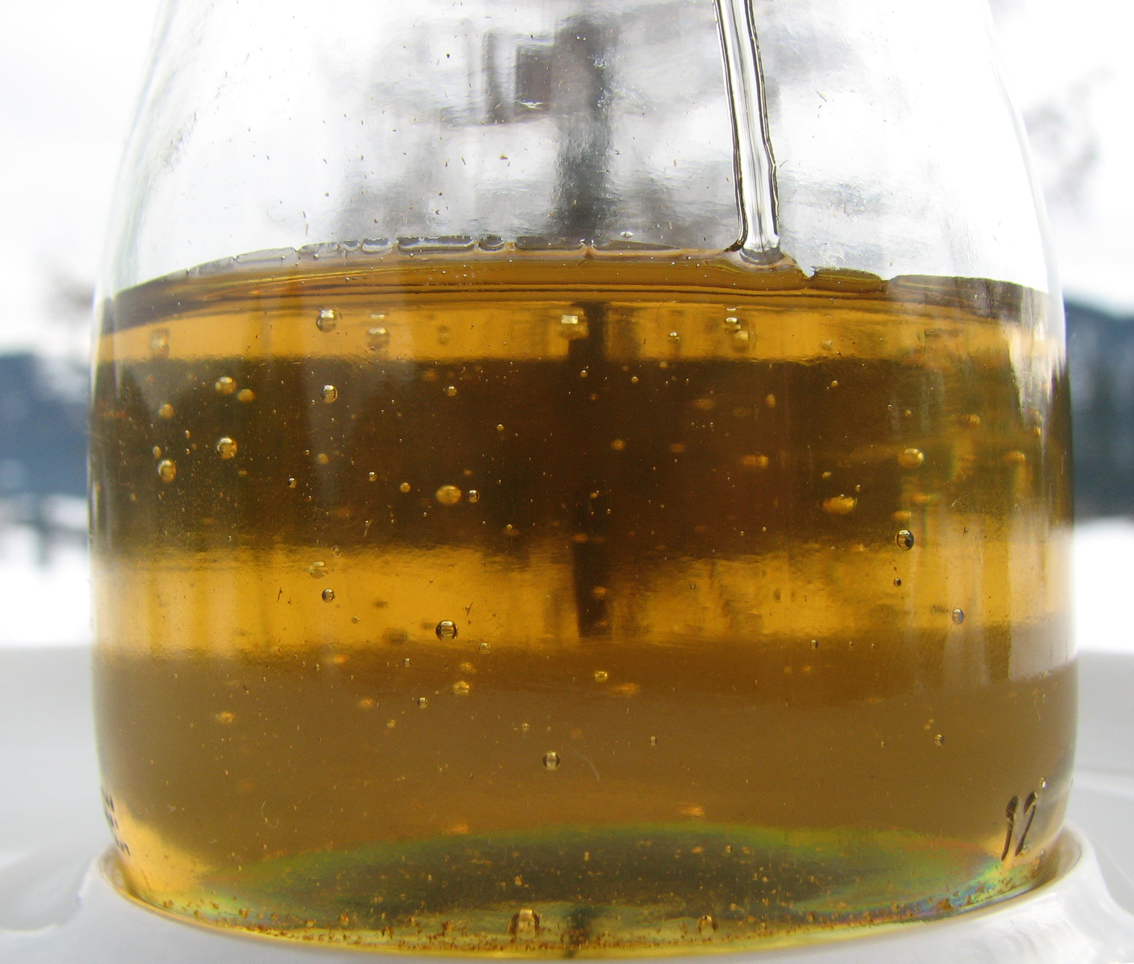 Europäische Lärche