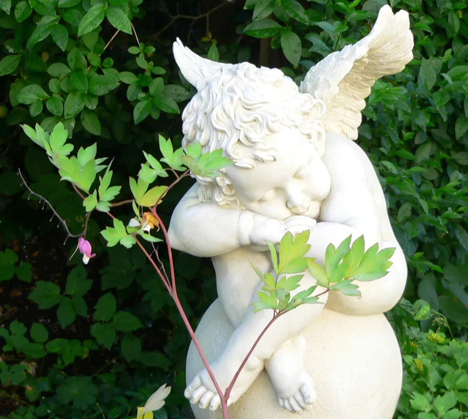 Massageöl für Babys