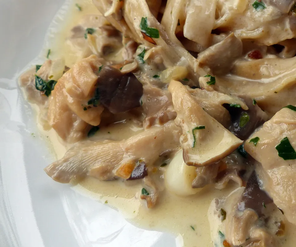 One-Pot-Pasta mit edler Pilzsauce