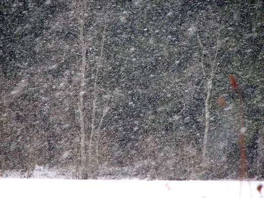 Die Raunächte kündigen sich an !