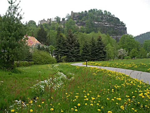 Echte Brunnenkresse