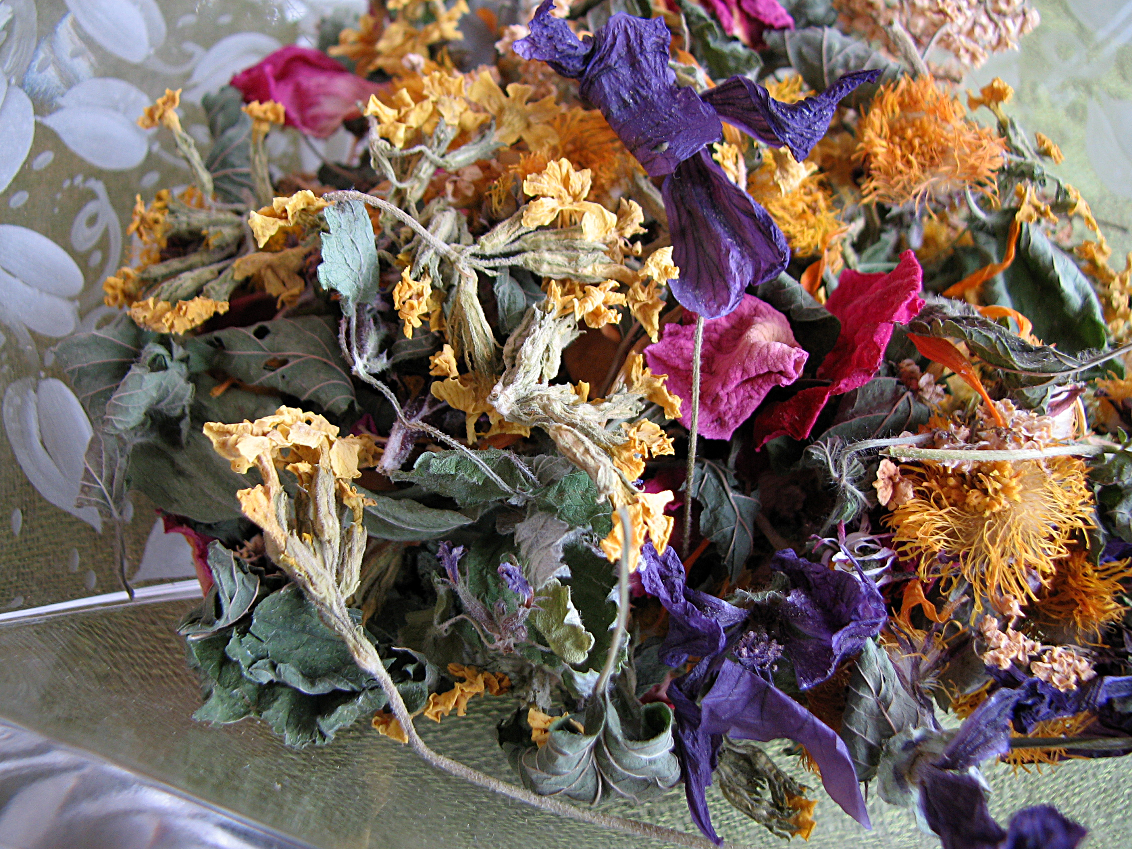 Heilkräfte aus Pflanzen extrahieren und anwenden