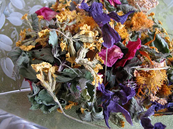 Heilkräfte aus Pflanzen extrahieren und anwenden