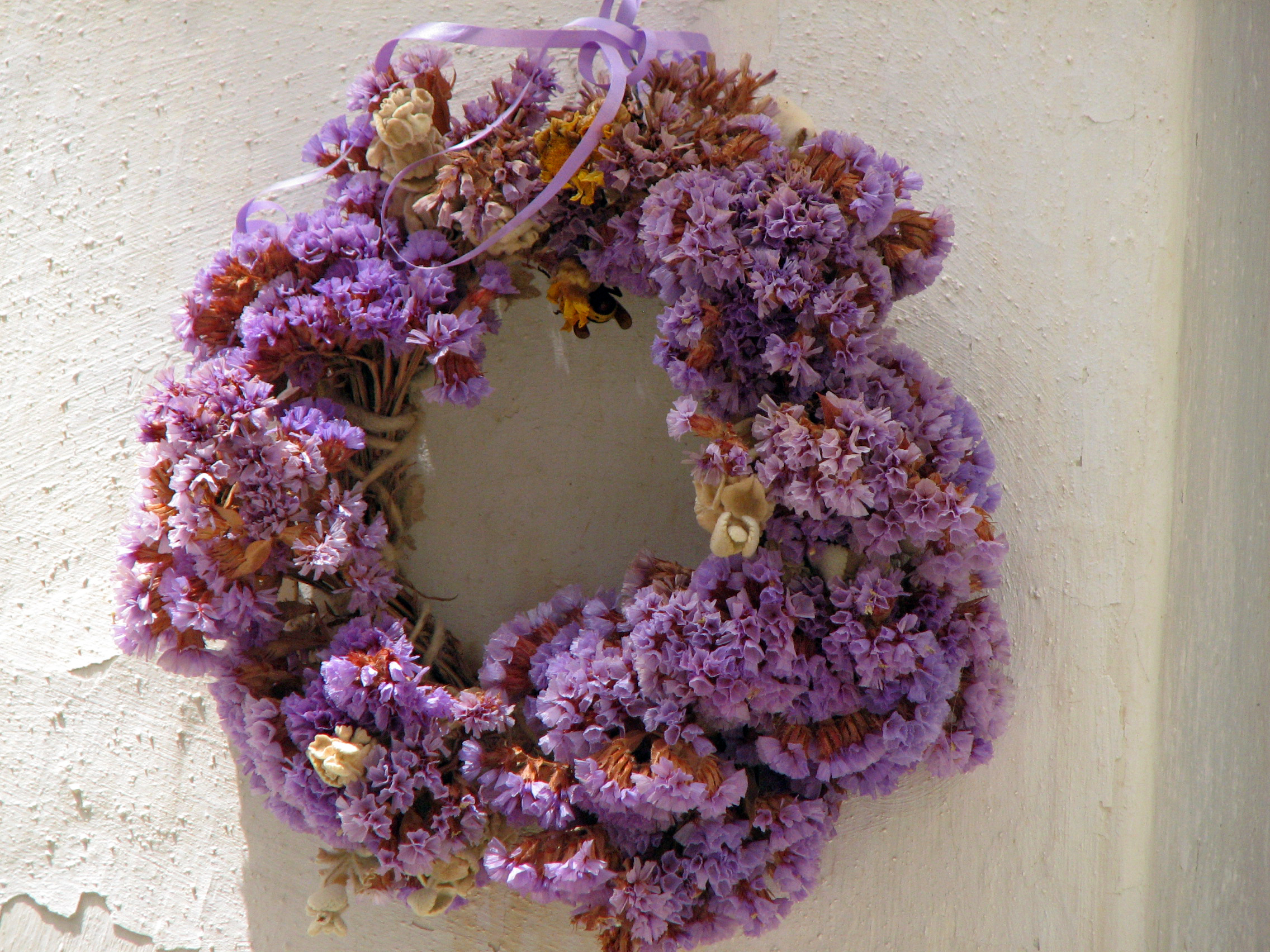 Geflügelter Strandflieder