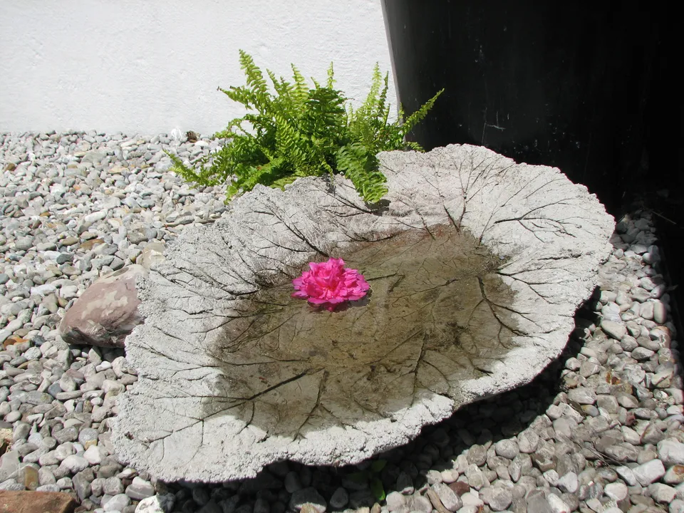 Vogeltränke aus Feinbeton selber machen