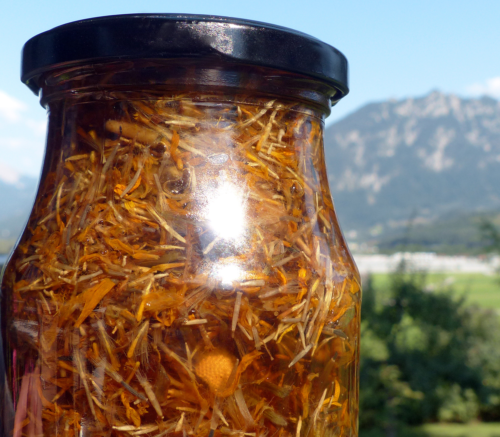 Arnikatinktur, Arnikaschnaps