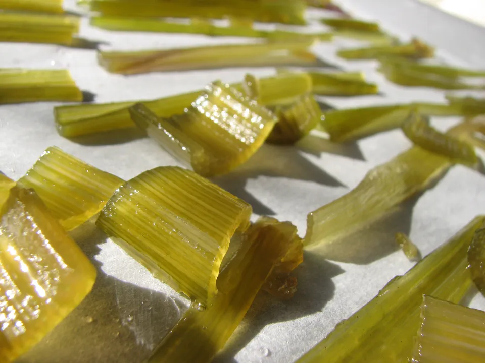 Kandierte Engelwurzstängel