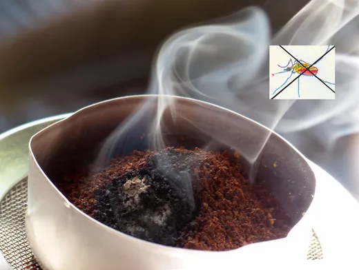 Insekten, vor allem Stechmücken, durch Räuchern vertreiben