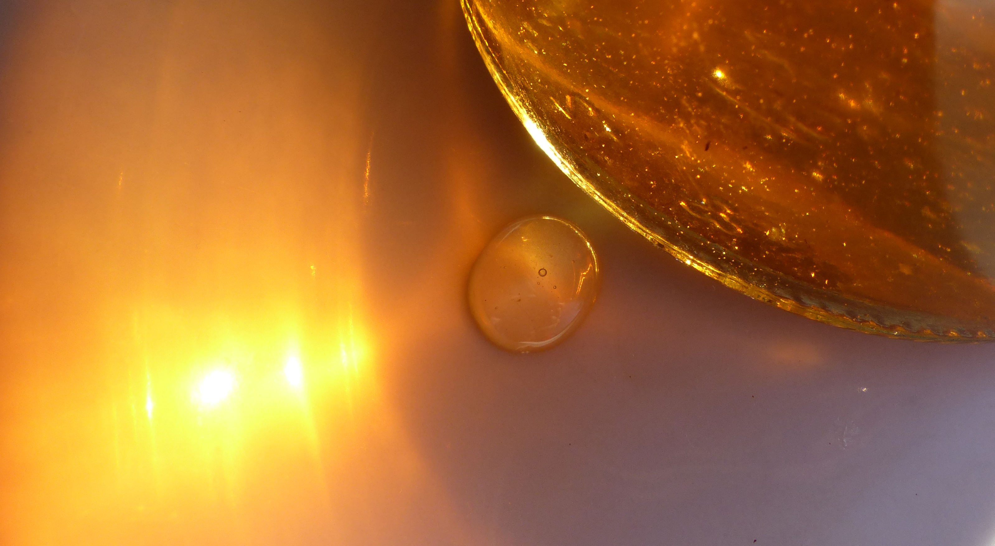 Löwenzahnhonig, traditionell