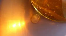 Löwenzahnhonig, traditionell