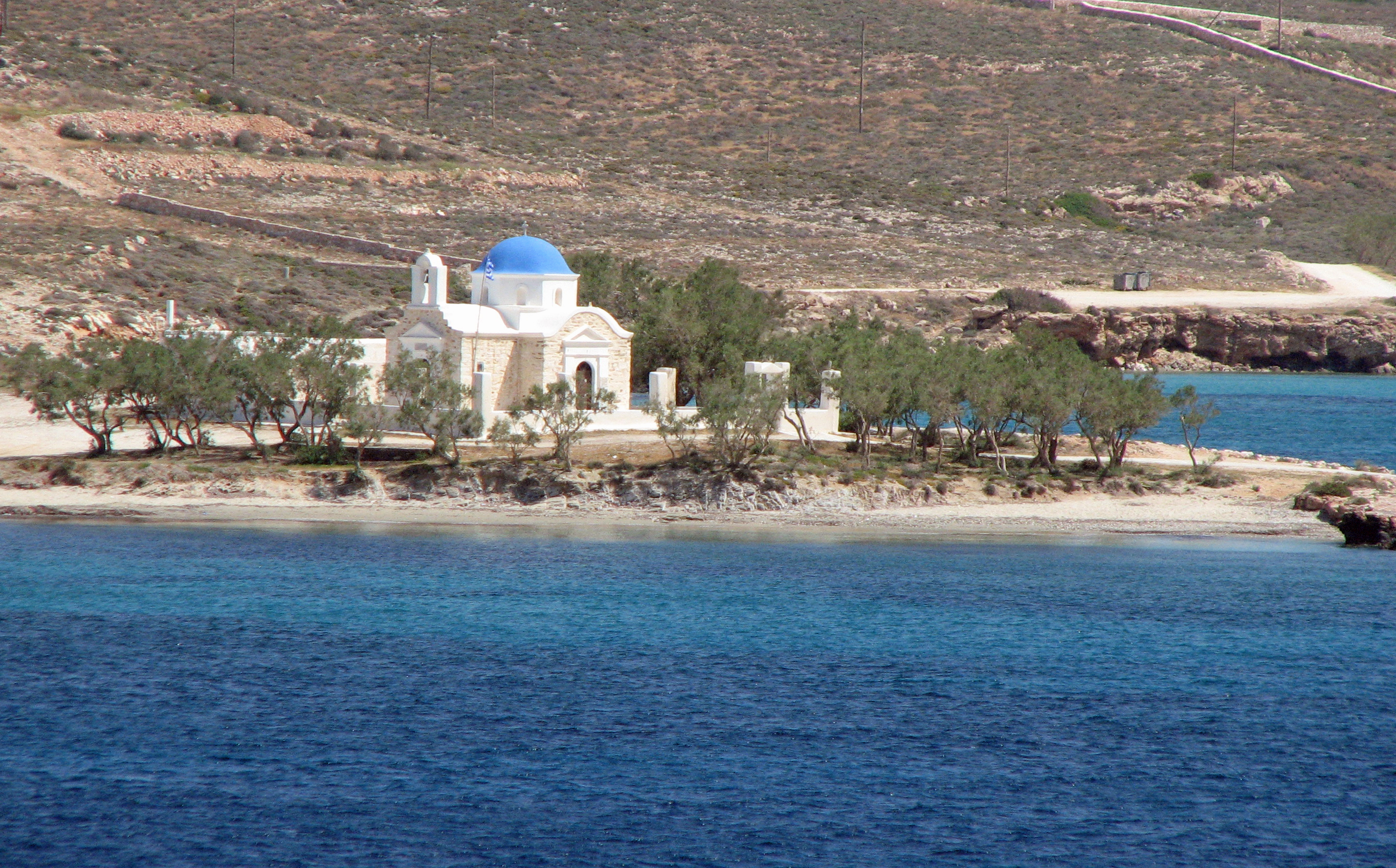 Kleinblütige Tamariske