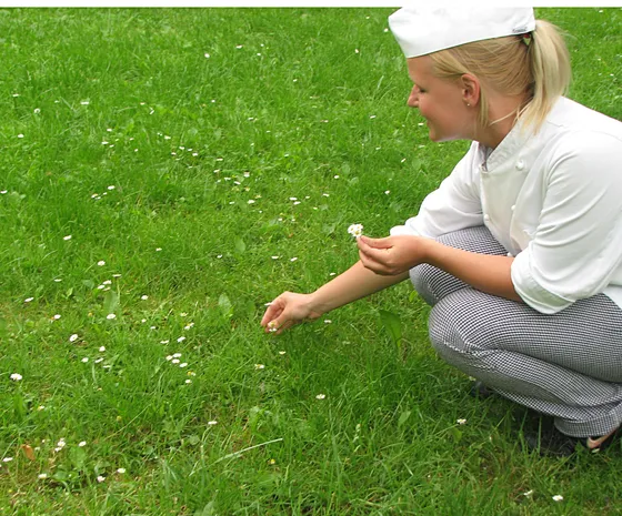 Sammeln und Konservieren von Wildpflanzen