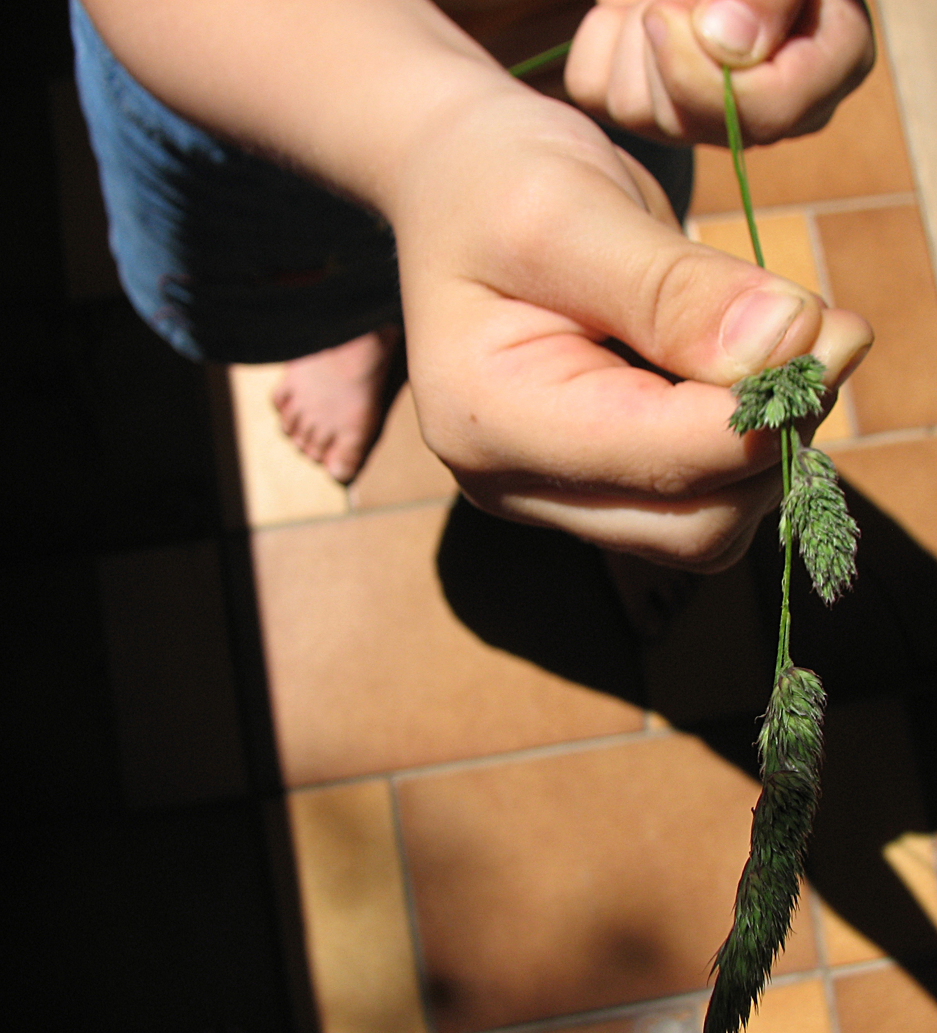 <p>Na, was wird's werden?</p>