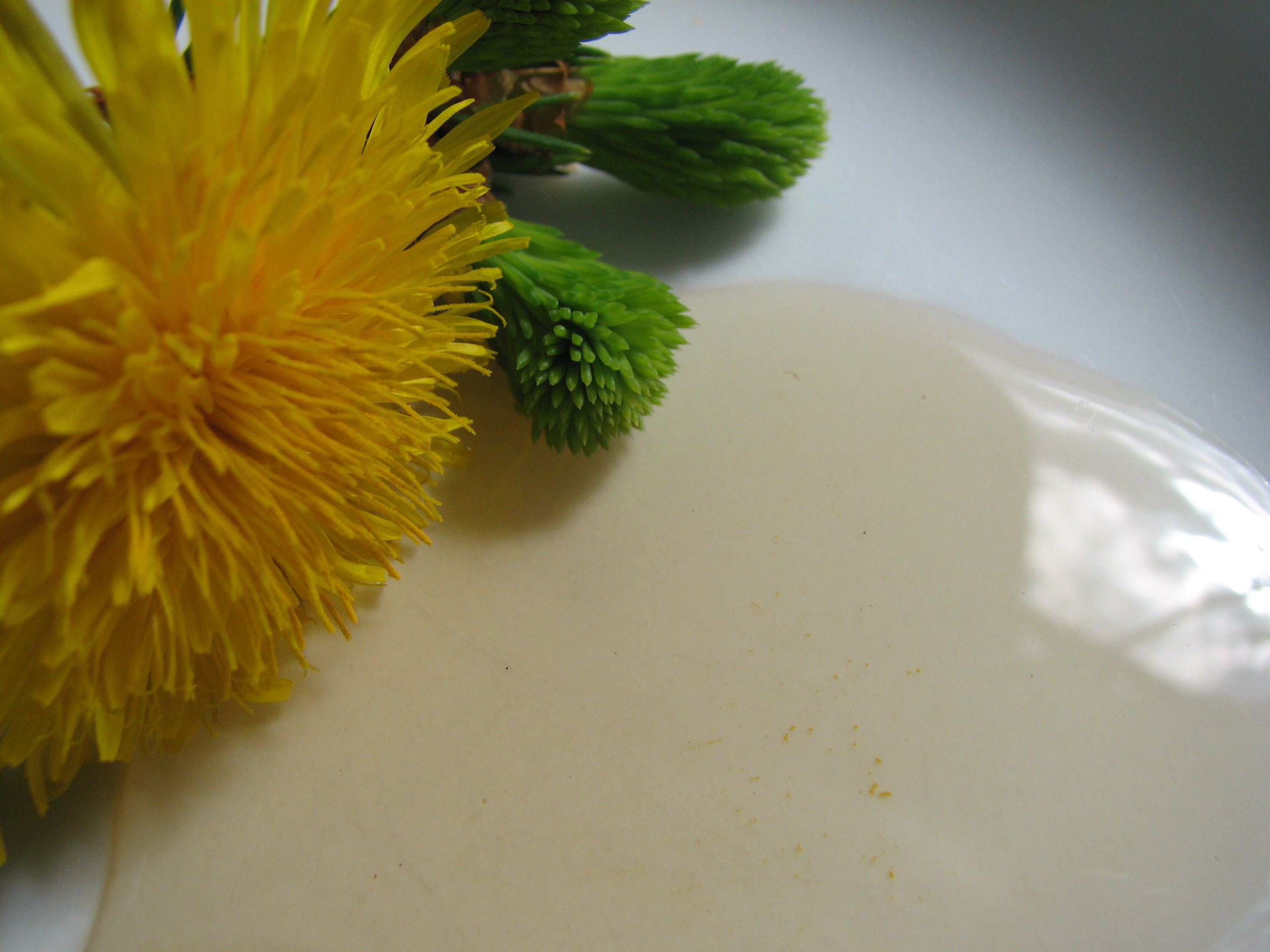 <p>Es können dem Löwenzahn einige Fichtenaustriebe untergemischt werden. Sie bestimmen dann das Aroma des Honigs.</p>