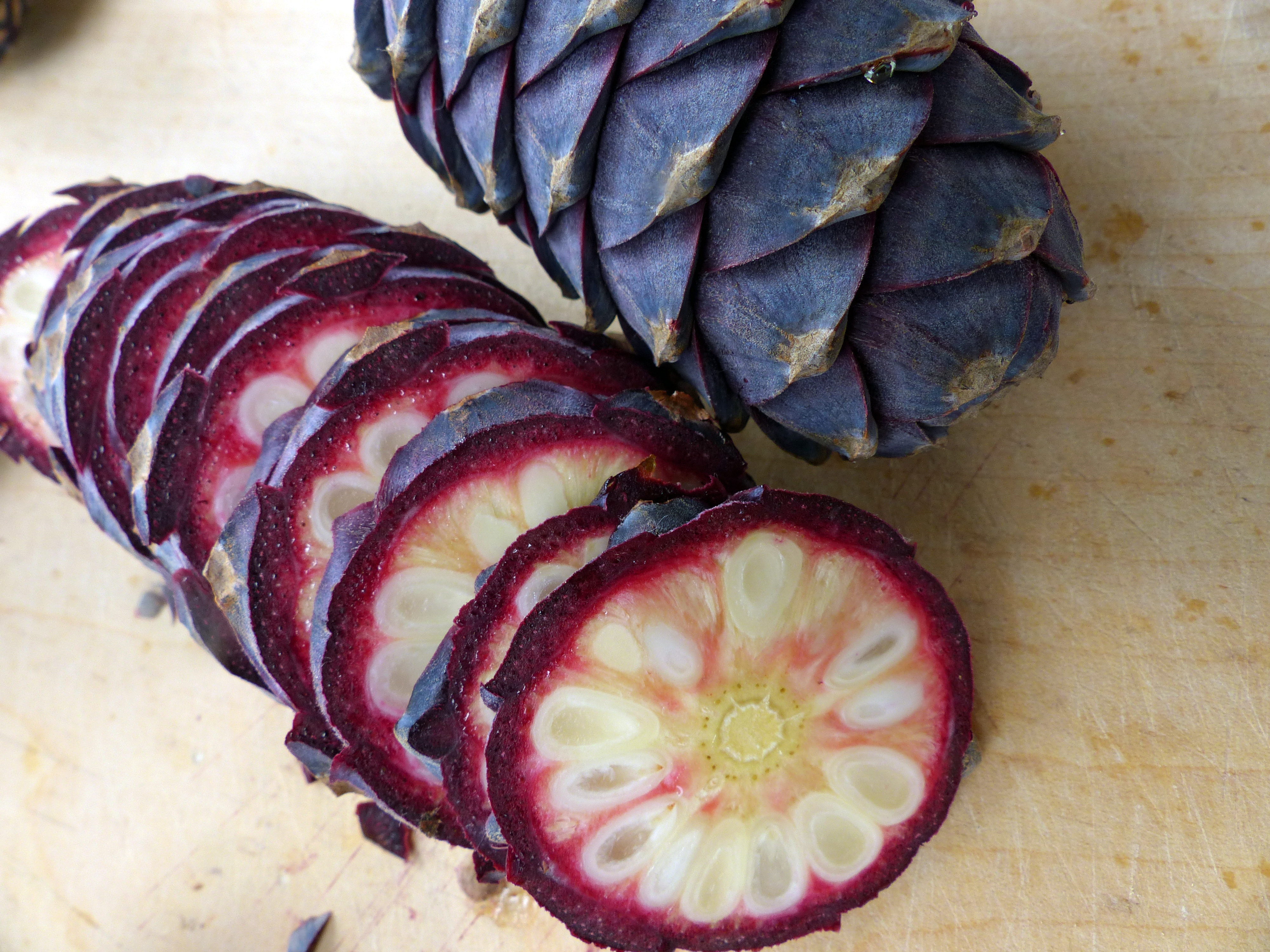 <p>Zwei Zirbenzapfen: einer ganz gelassen, einer aufgeschnitten.</p>