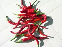Paprika & Chili