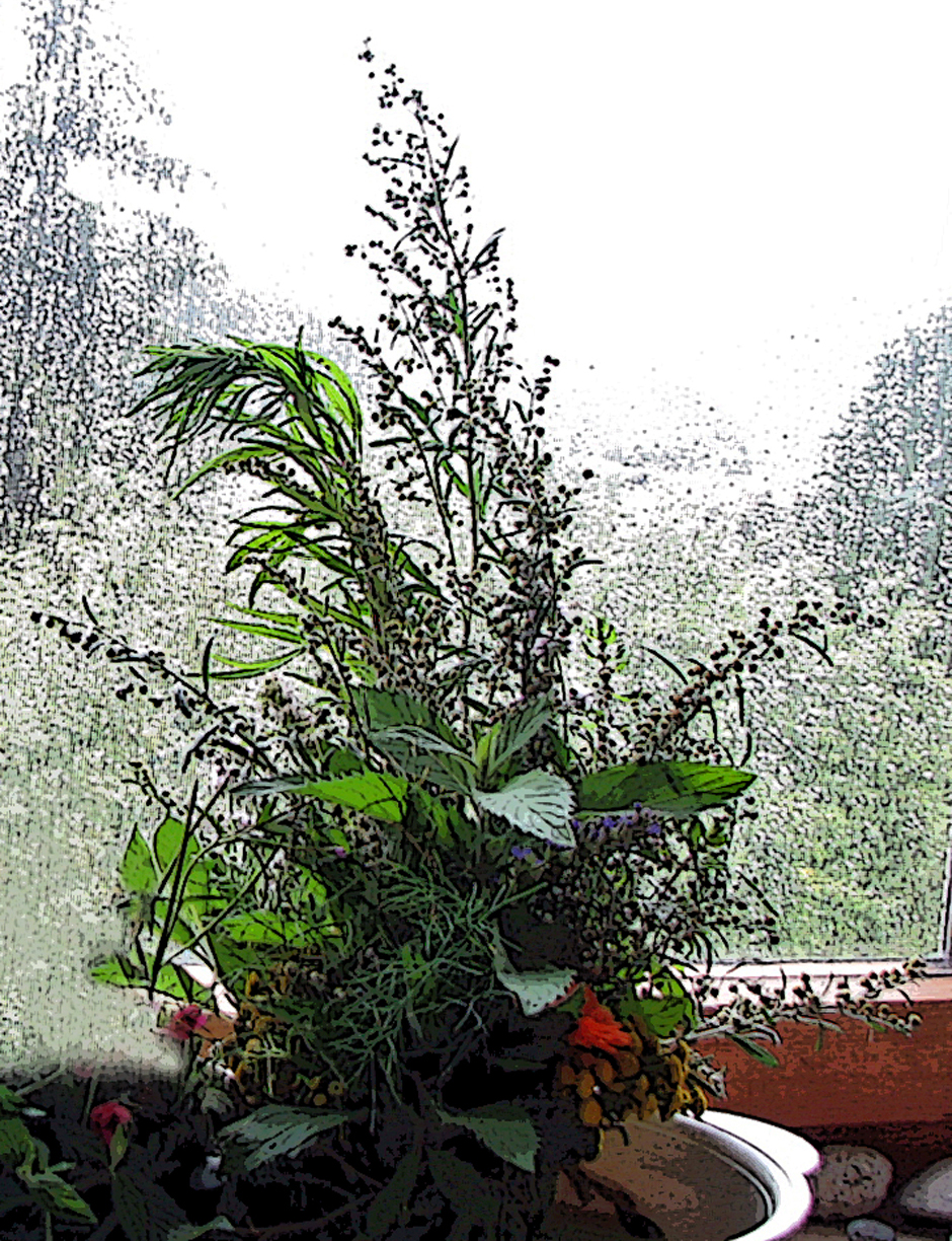 <p>Frei gestalteter Kräuterbuschen.</p>