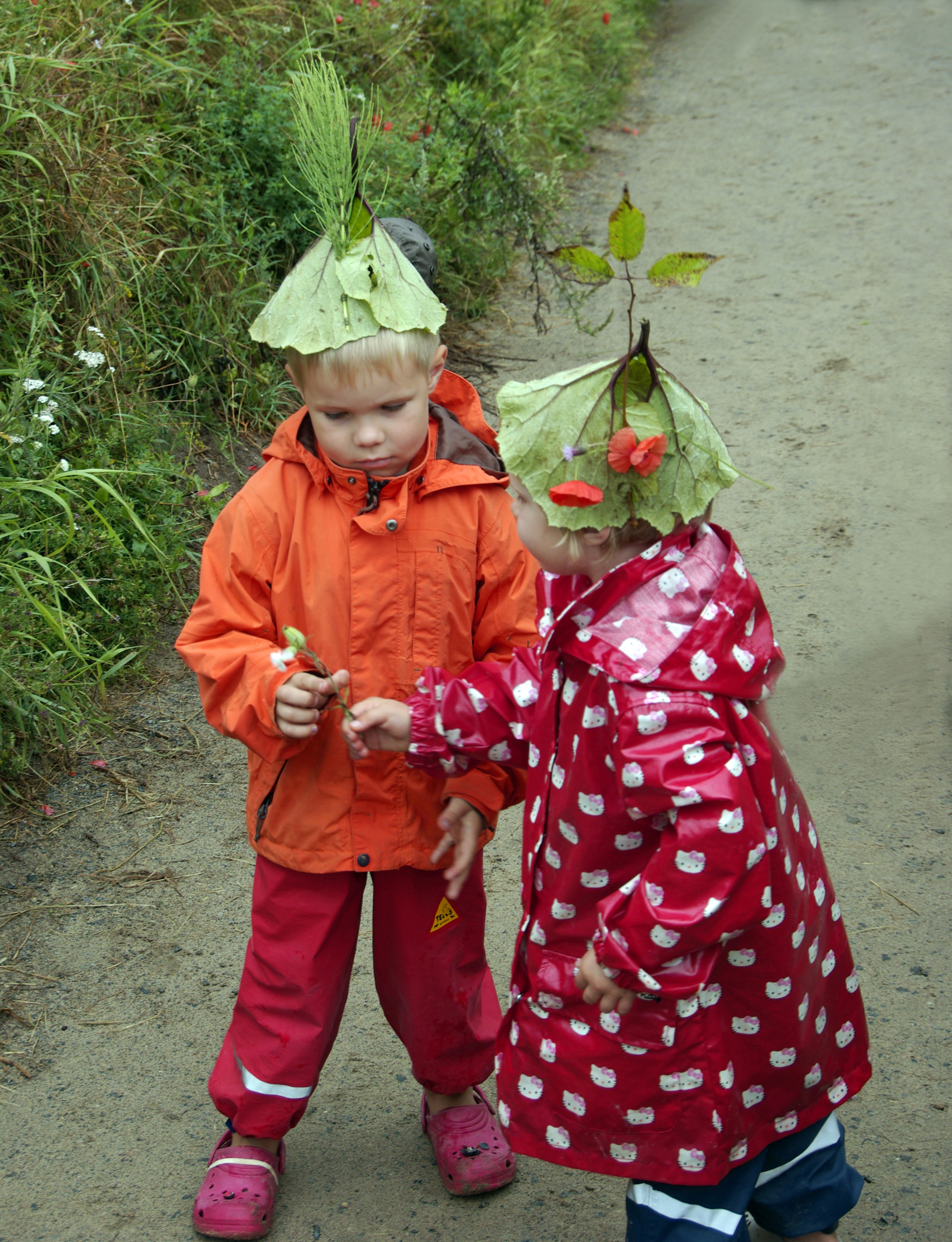 Gewöhnliche Pestwurz