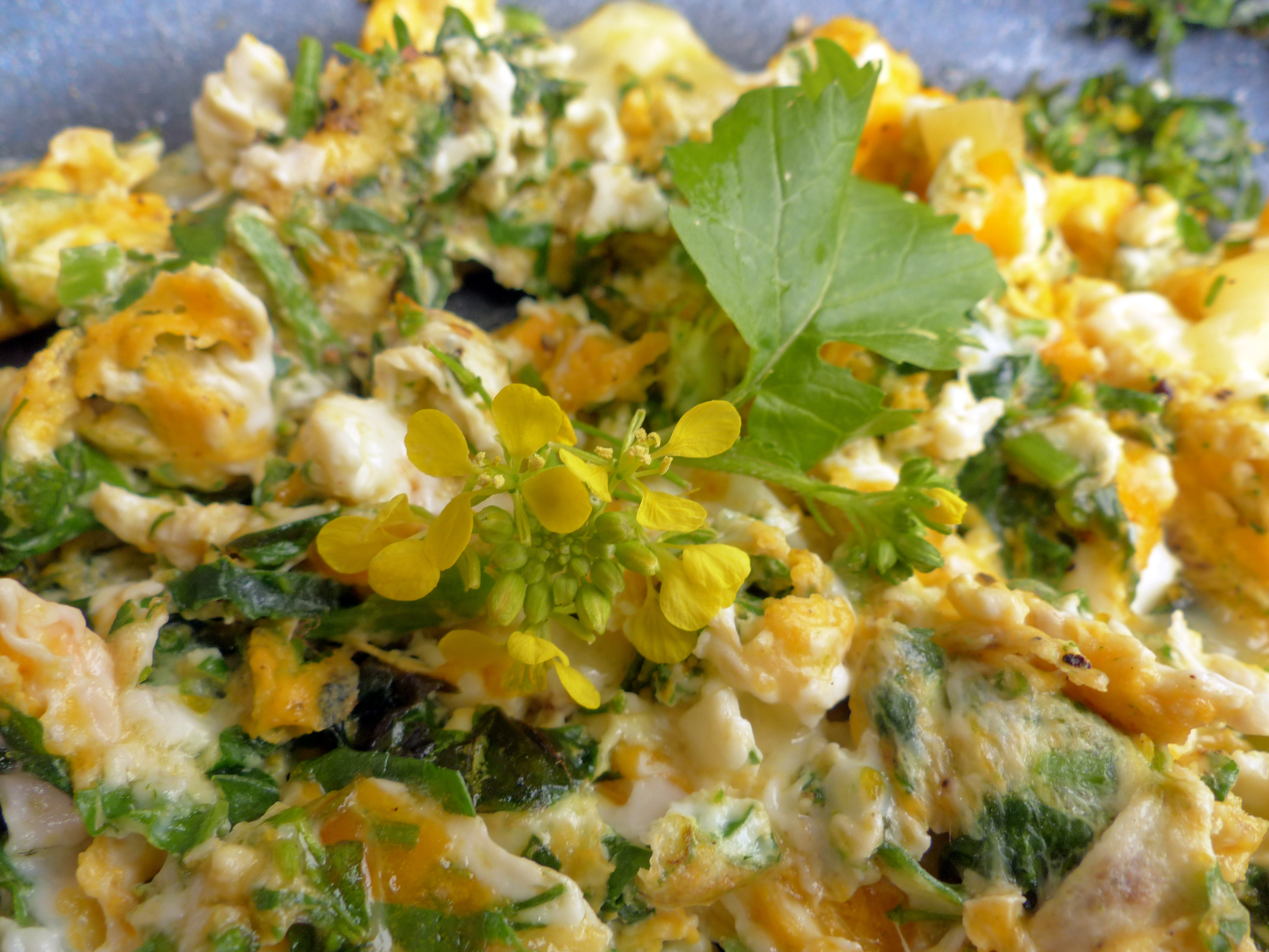 Rührei mit Senfblüten