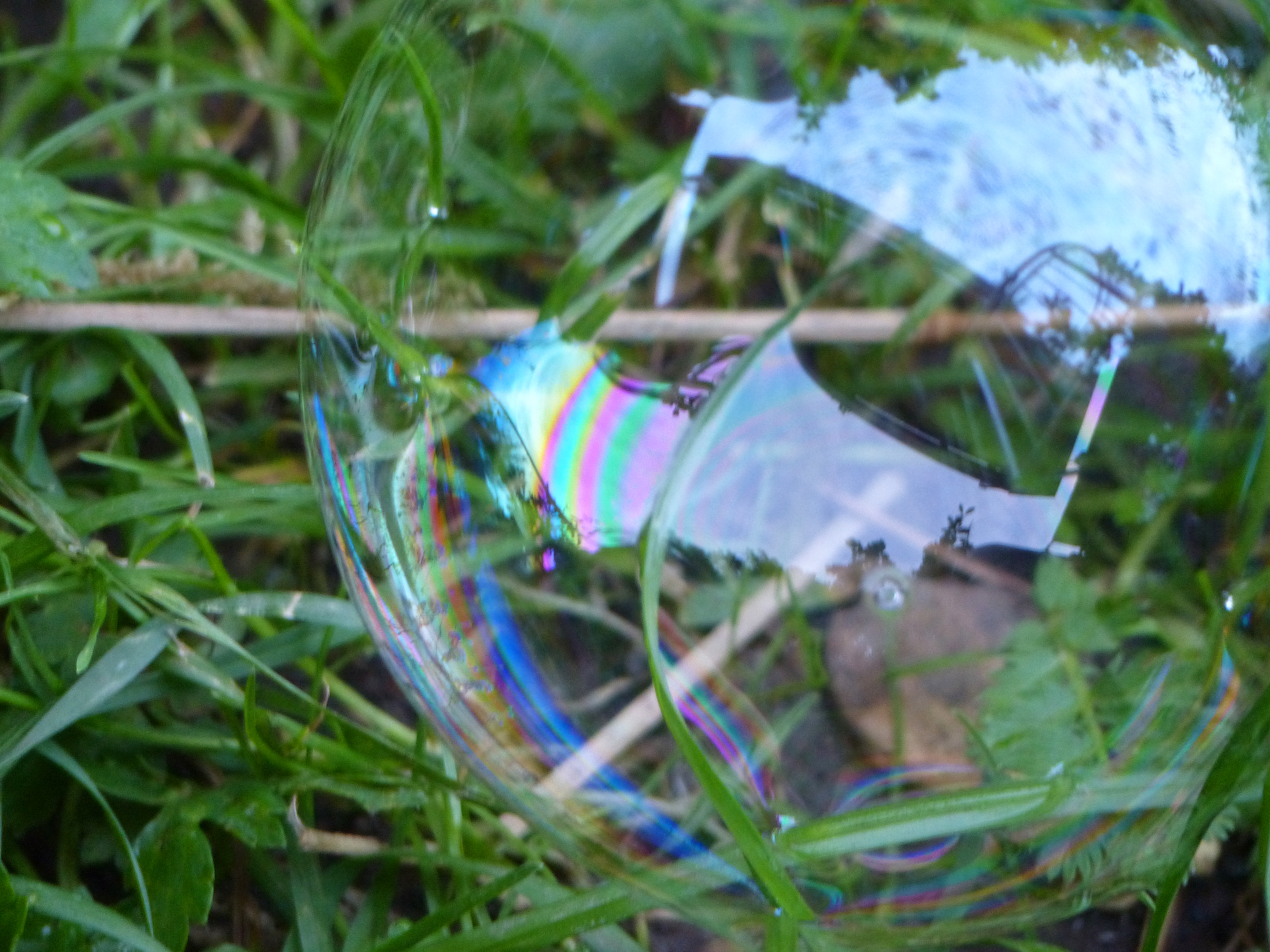 <p>Die Seifenblase, gezaubert aus selbstgemachter Seifenlauge + Steckdrahtring, hielt sich einige Minuten auf dem Rasen</p>