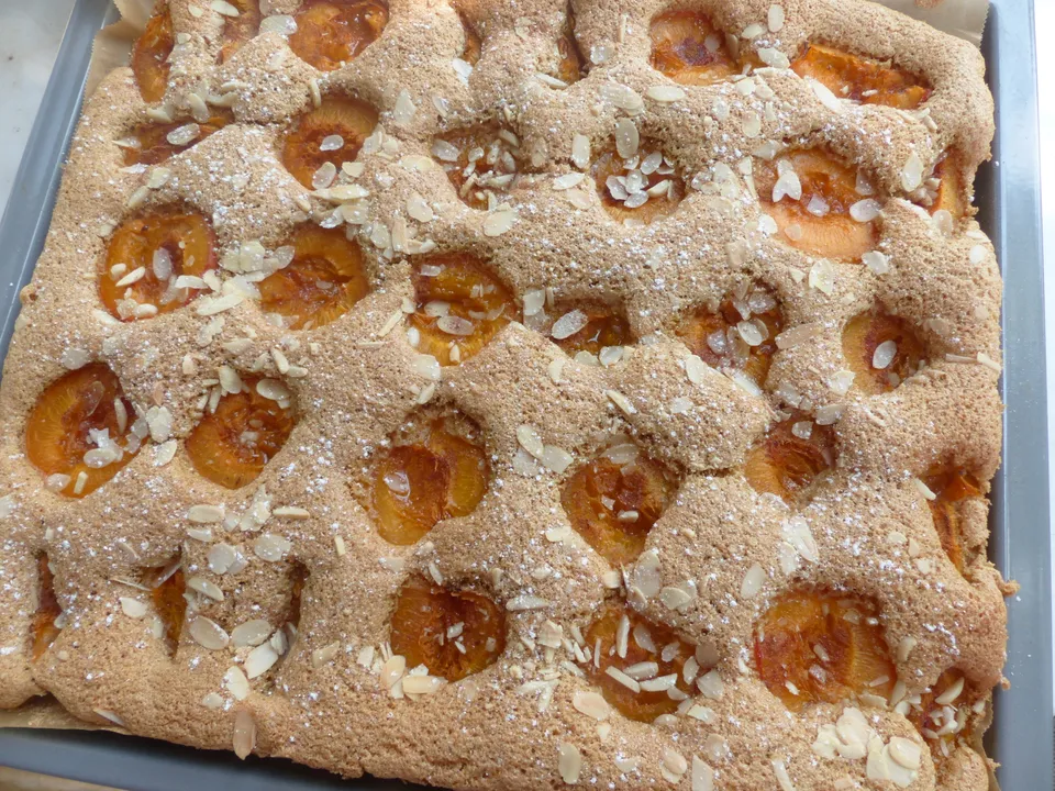 Marillenkuchen aus Sauerrahm-Rührteig