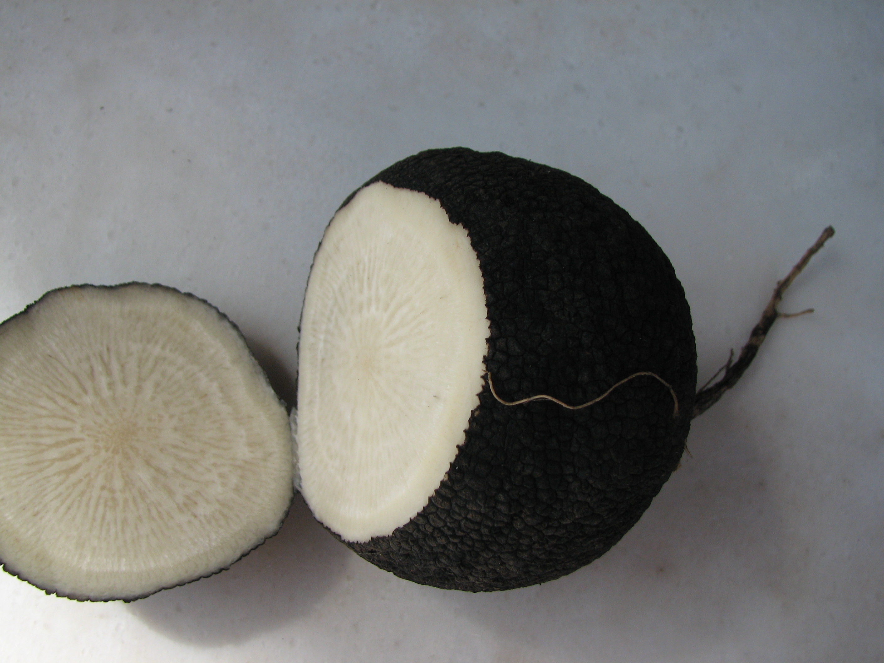 Schwarzer Winterrettich