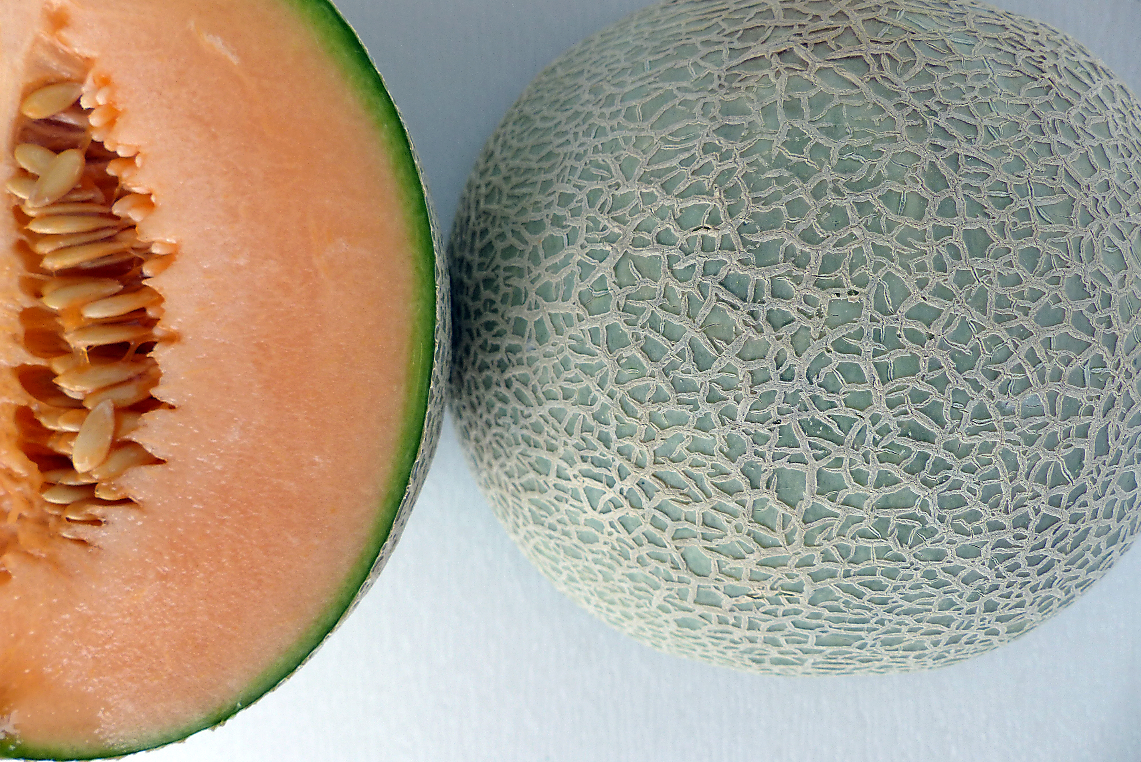 Zuckermelone