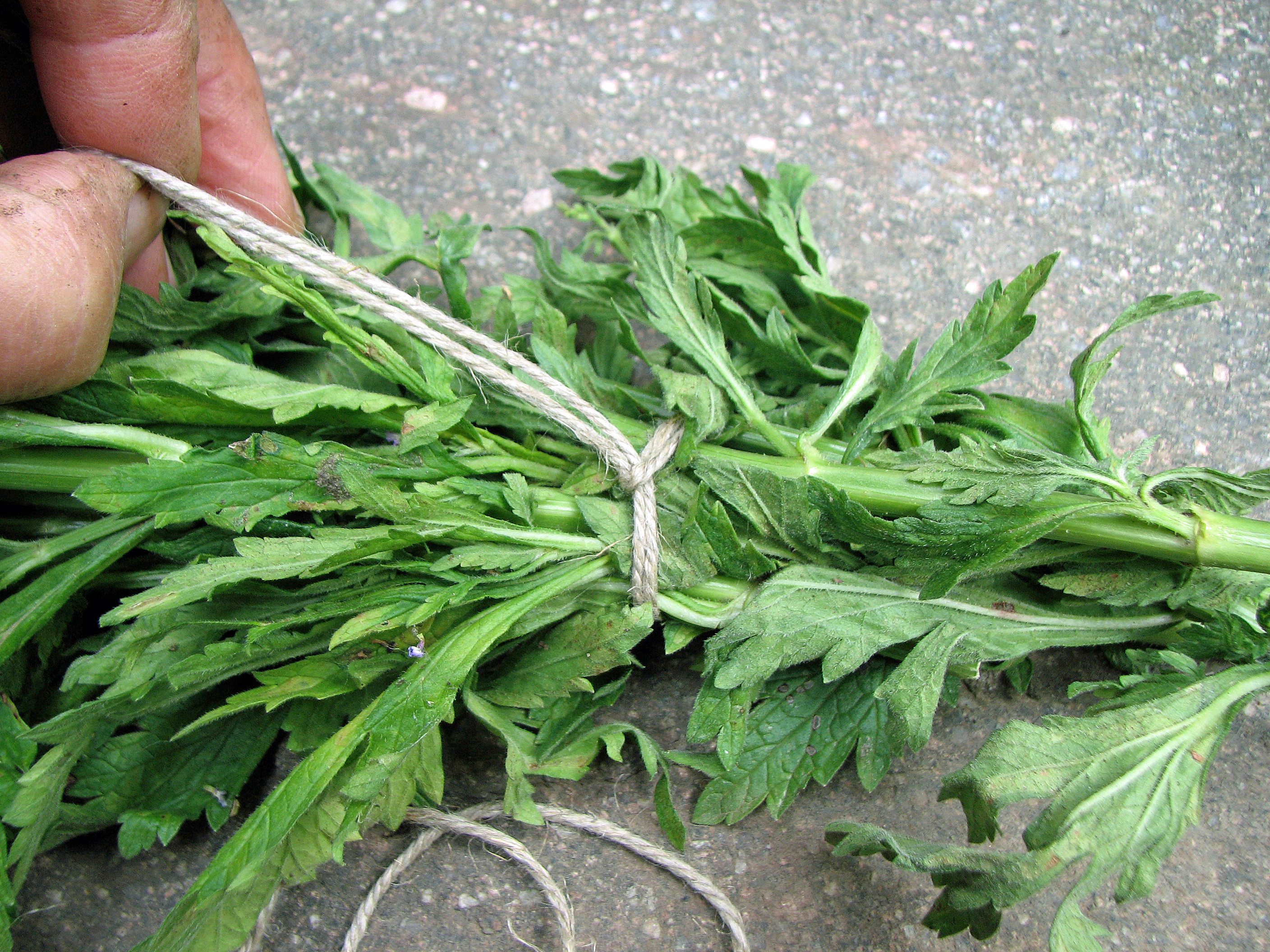 <p>Die Schnur wird nur angezogen.</p>