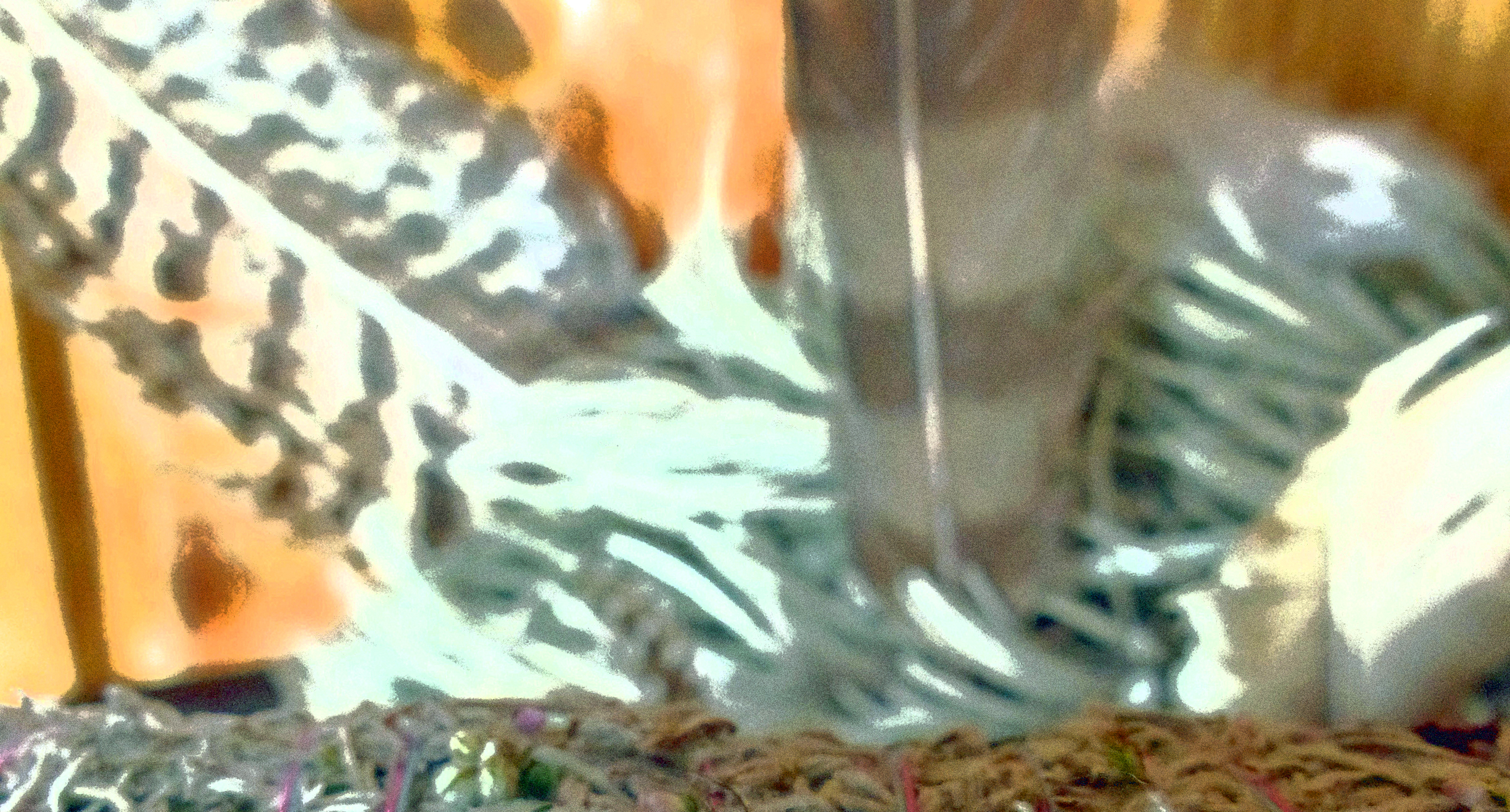 <p>Durch zeitweises Fächeln mit einer großen Feder wird der Rauch am Leben erhalten.</p>