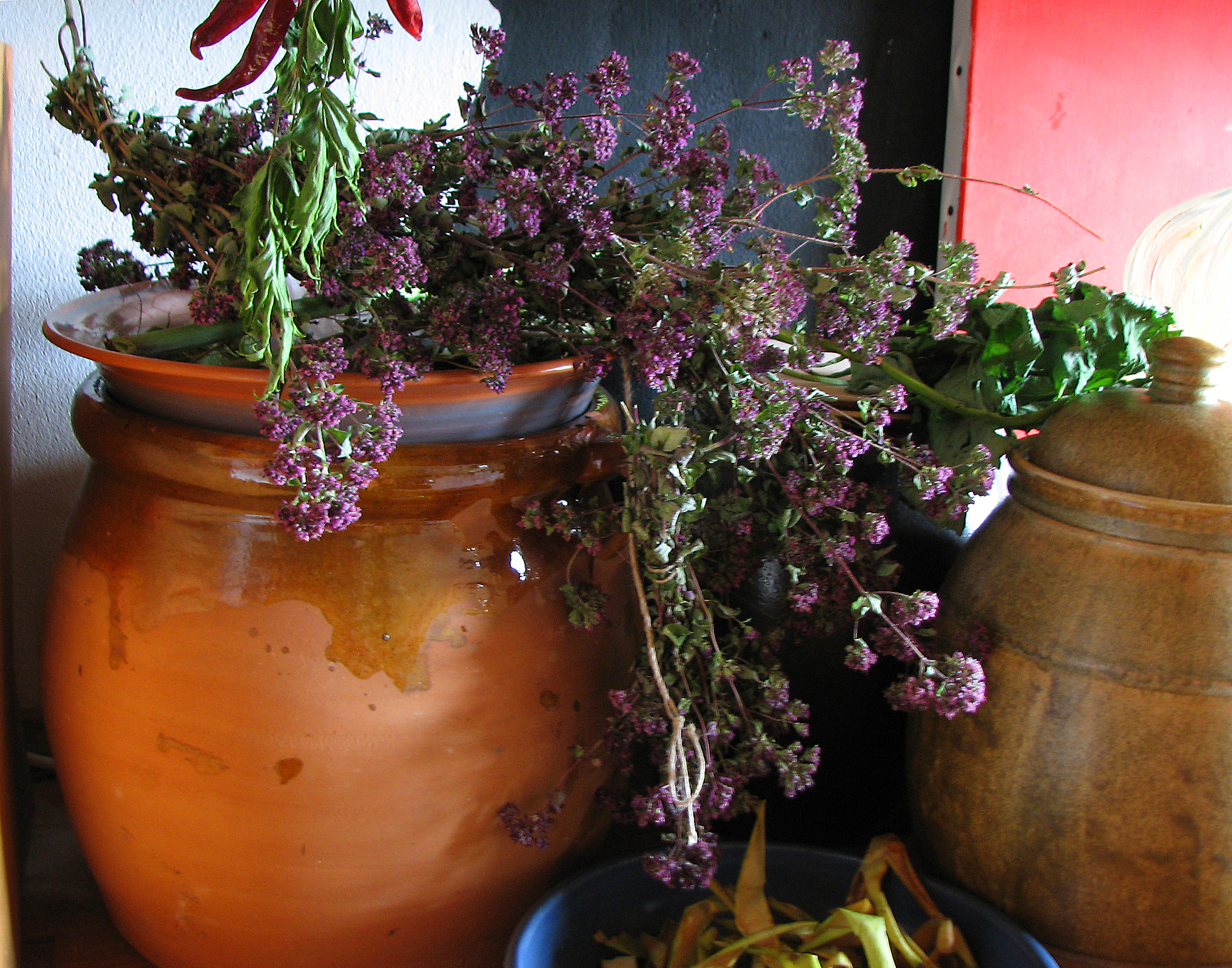 Gewöhnlicher Echter Dost