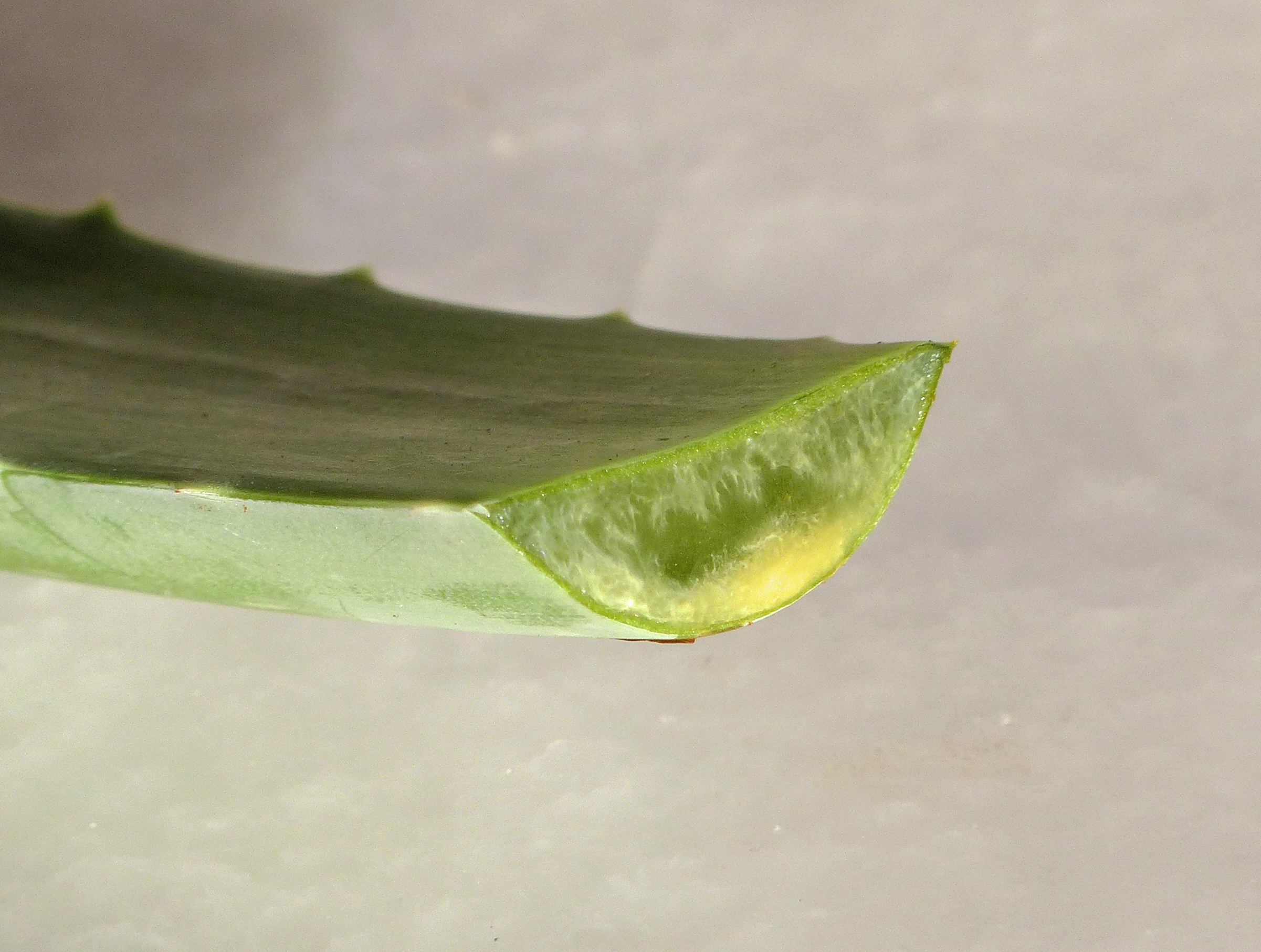 Aloe vera-Gel aus ganzem Blatt