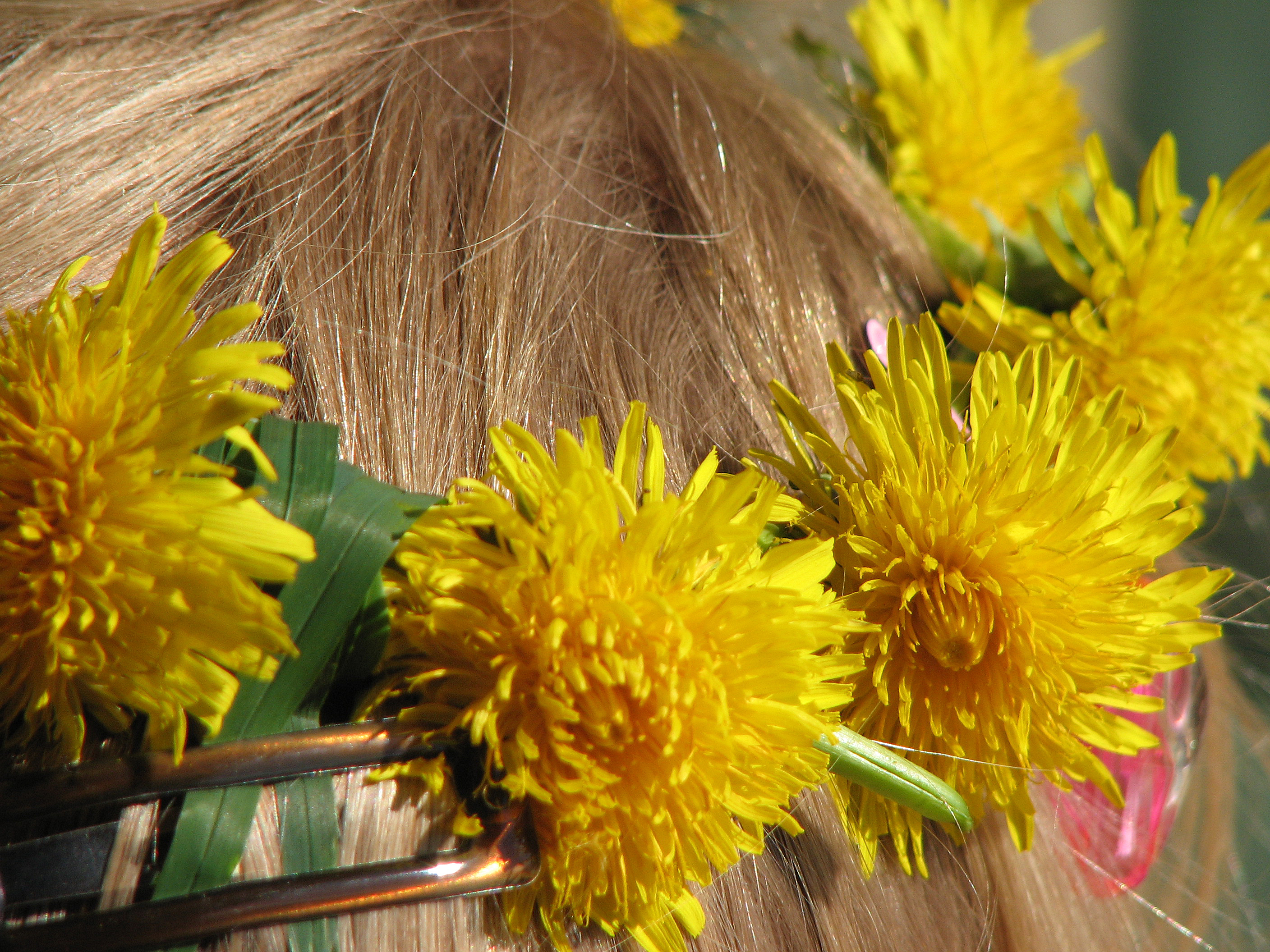 Löwenzahnhonig, modern