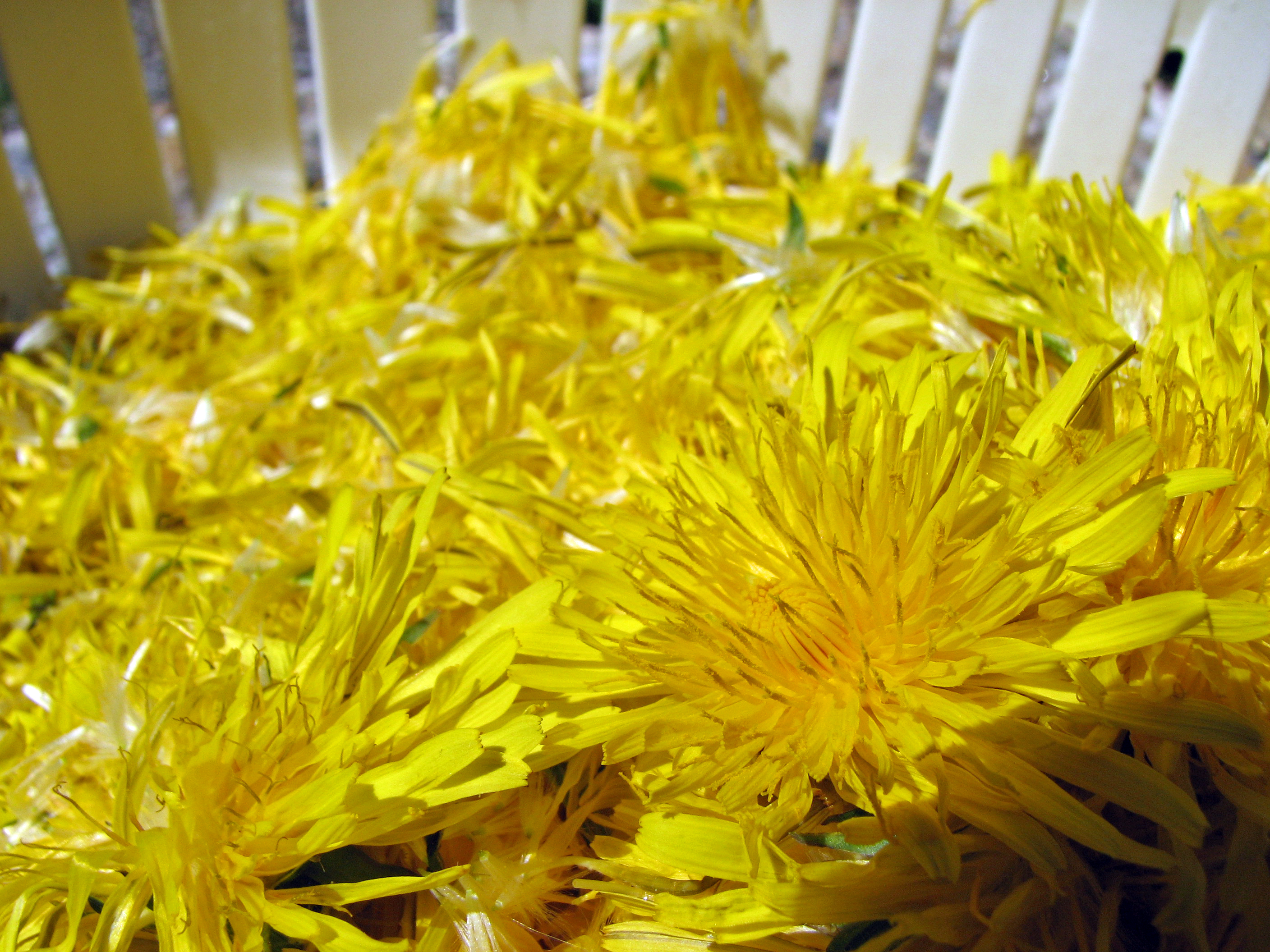 Löwenzahnhonig, modern