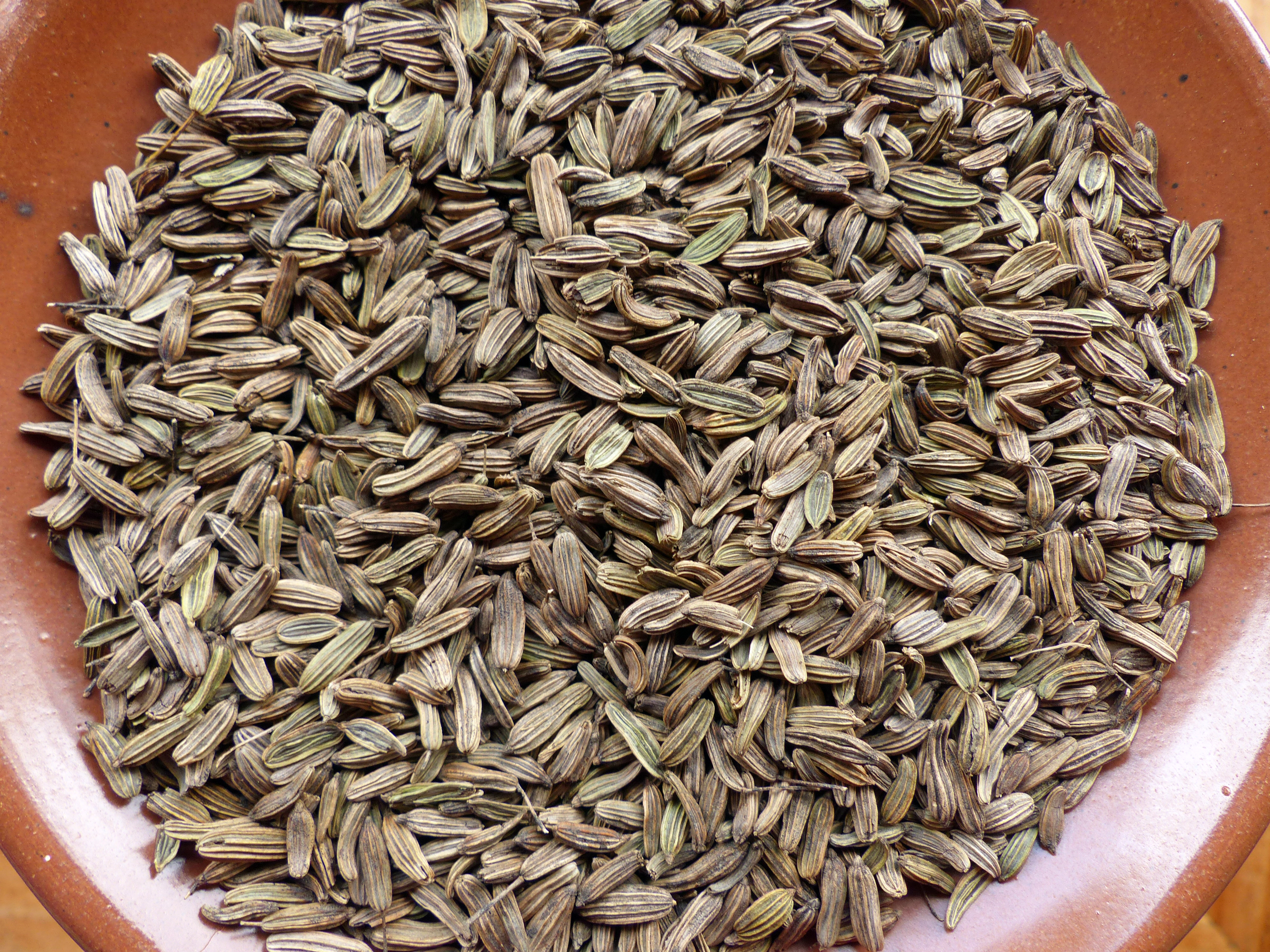 Gewürzfenchel
