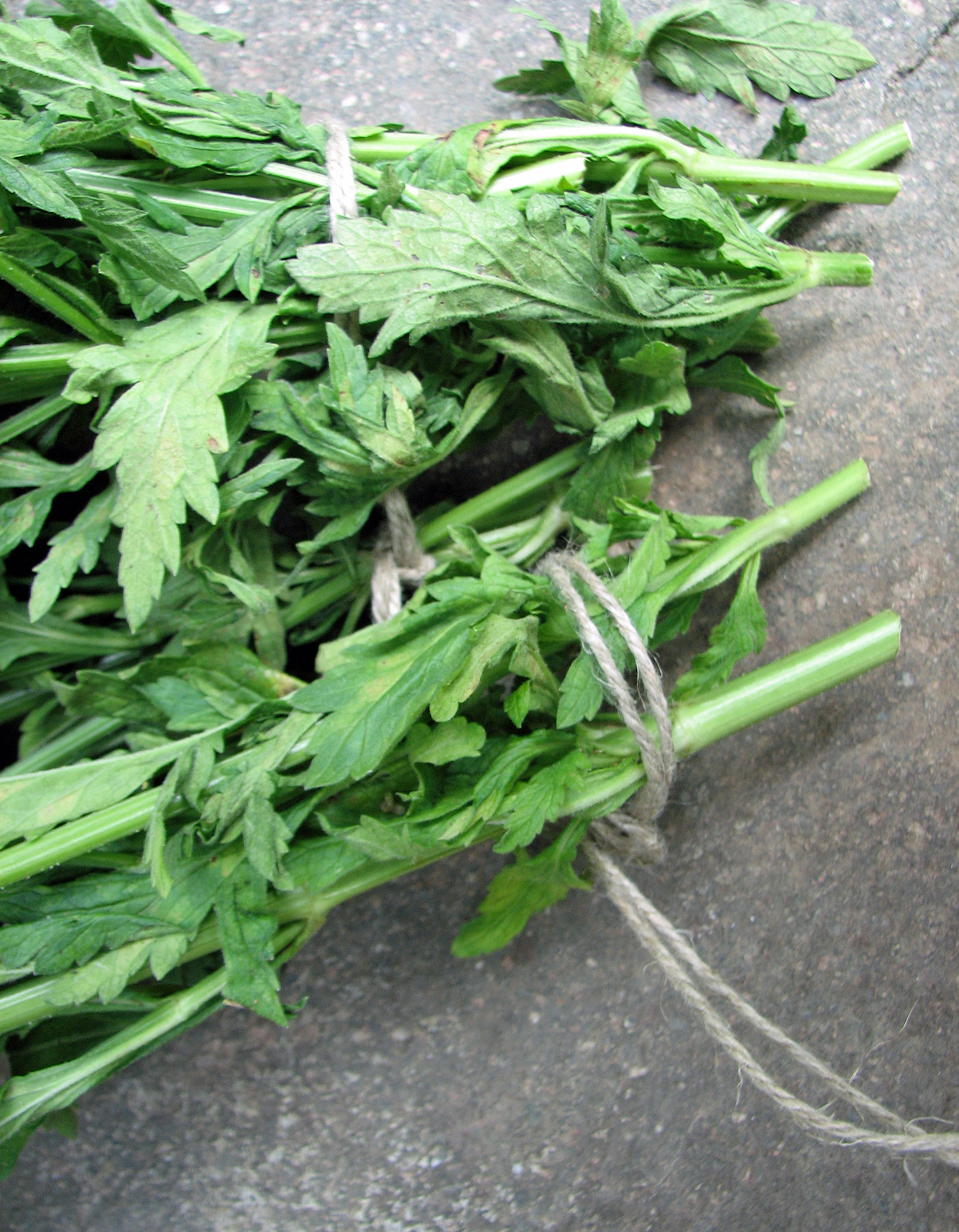 <p>Jetzt kommt das nächste Bündel an die Reihe...</p>