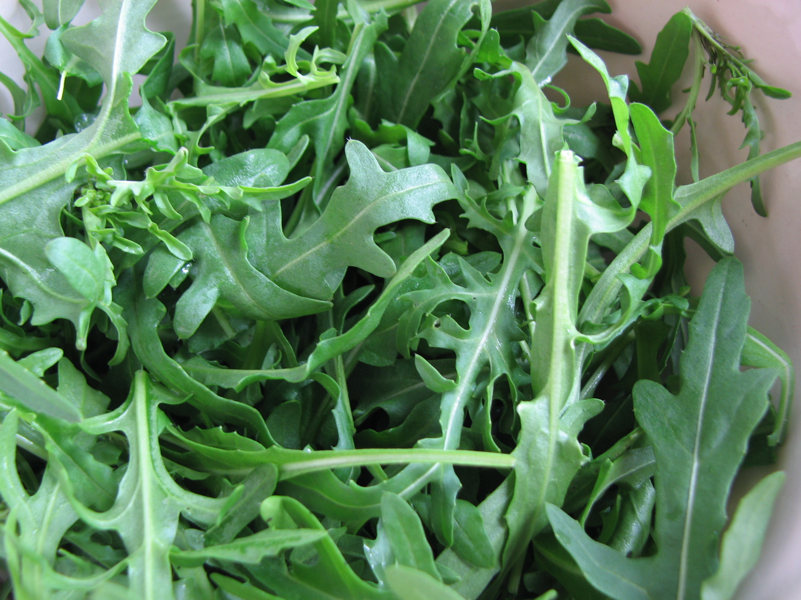 Breitblättrige Rucola