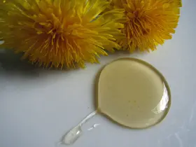 Löwenzahnhonig, modern