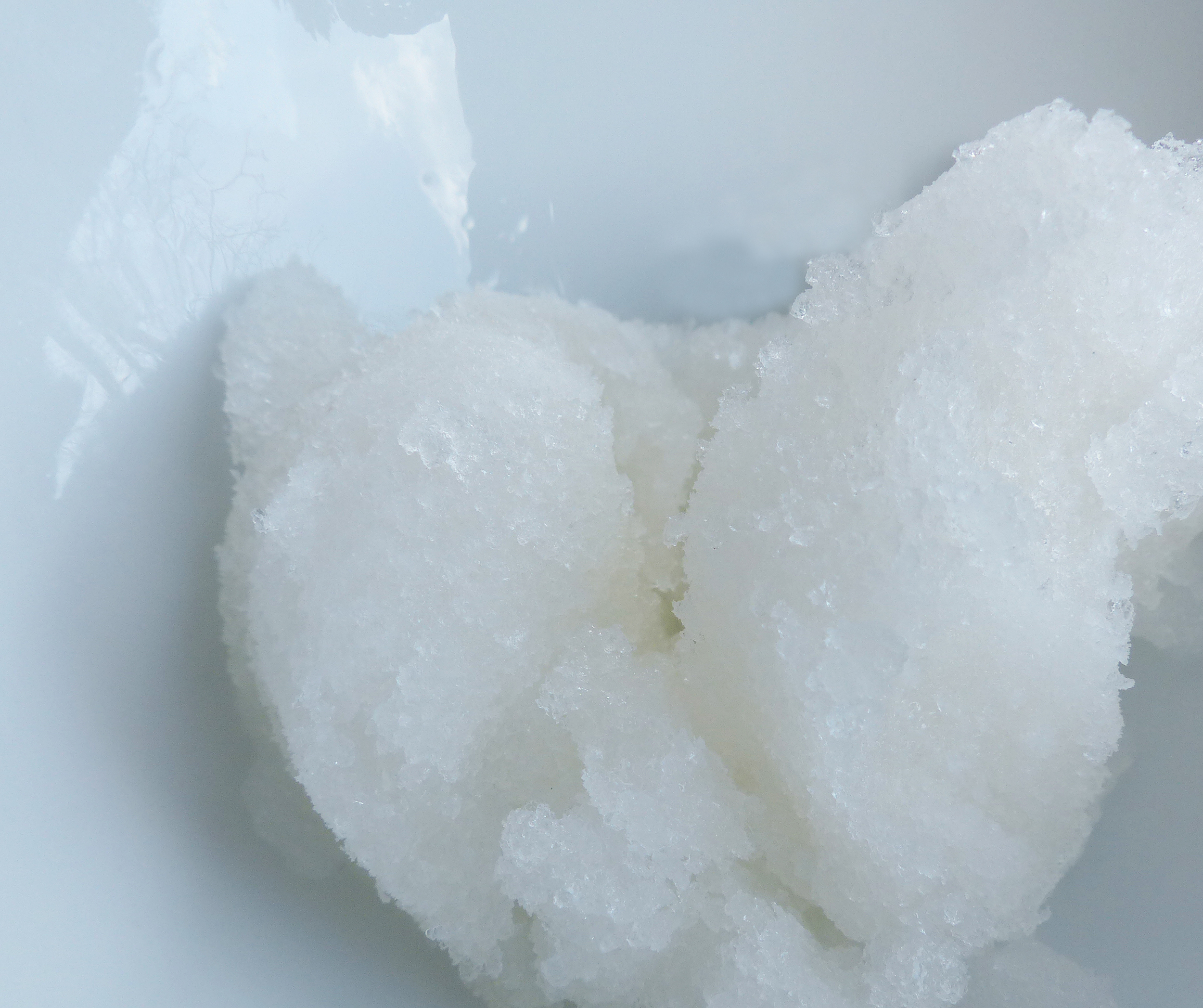 Sorbet der Frühlingsgöttin