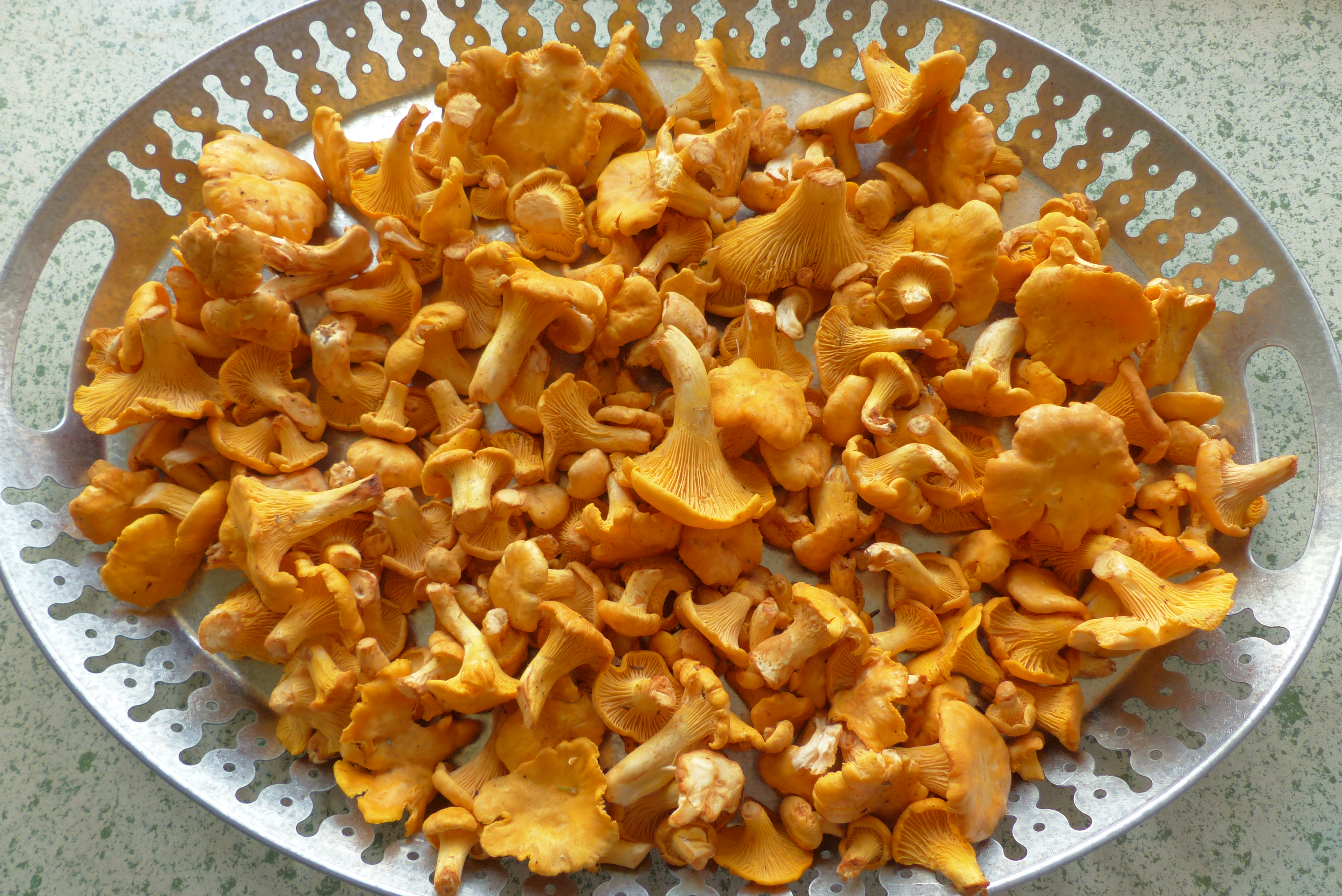 Pilzsauce à la Austria 