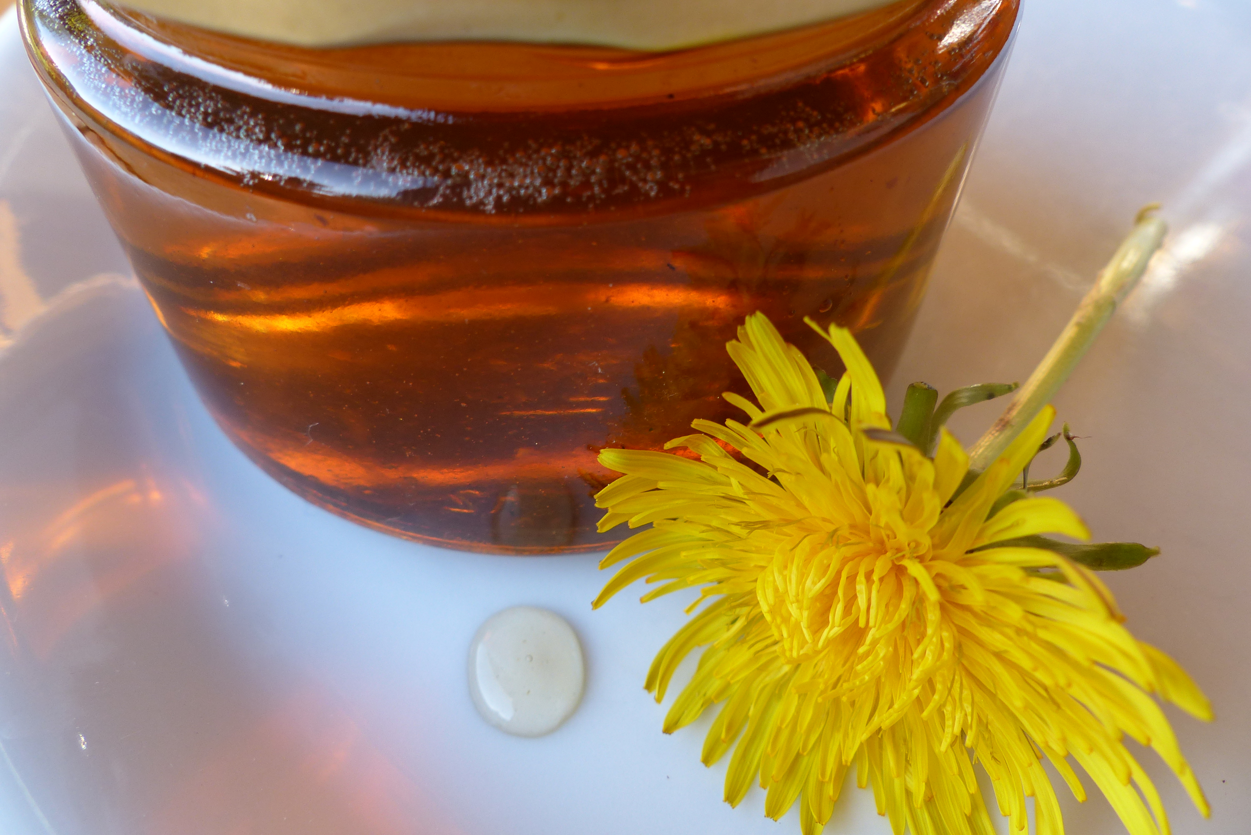 Löwenzahnhonig, traditionell