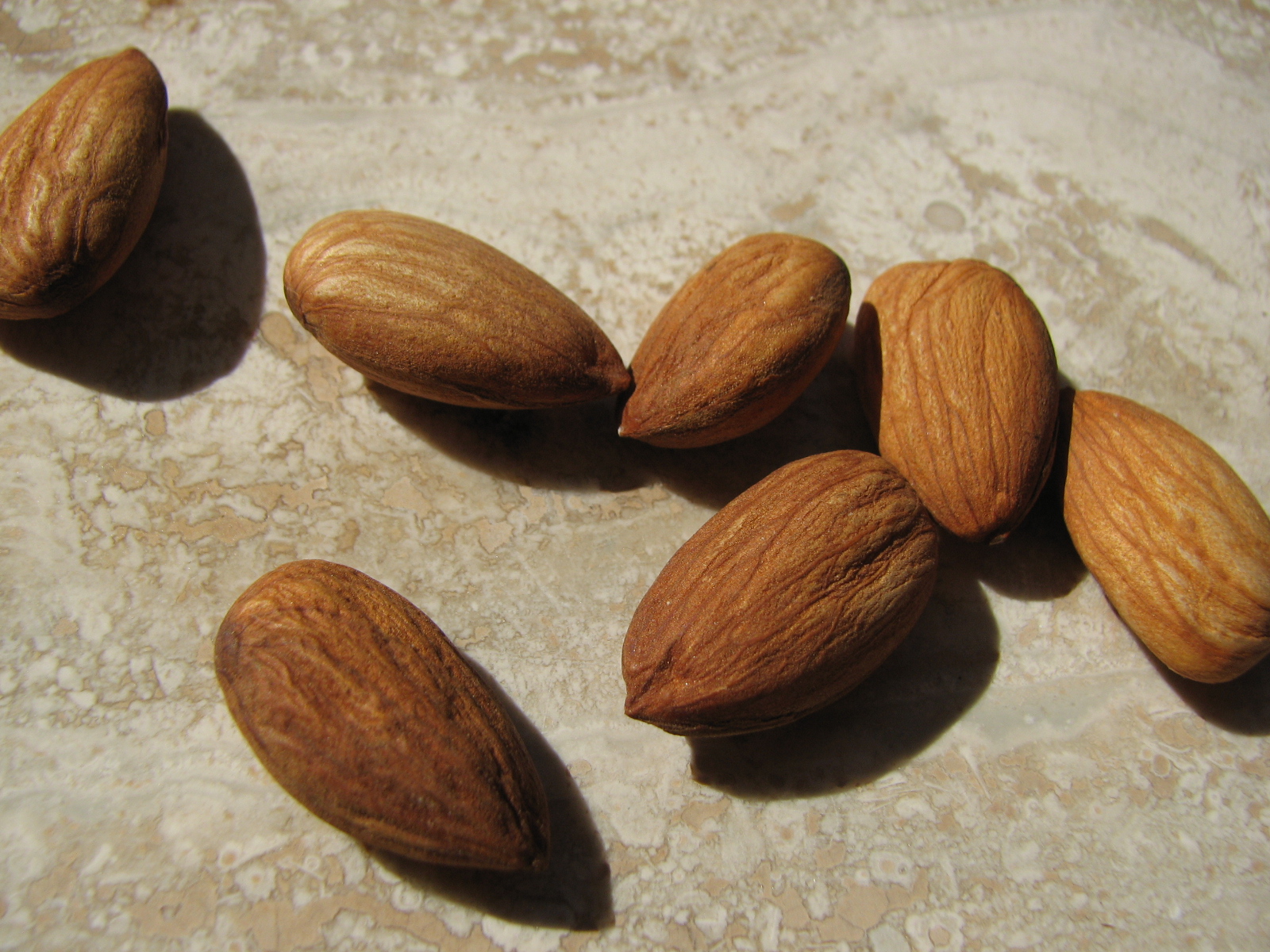 Kerne mancher Rosengewächse