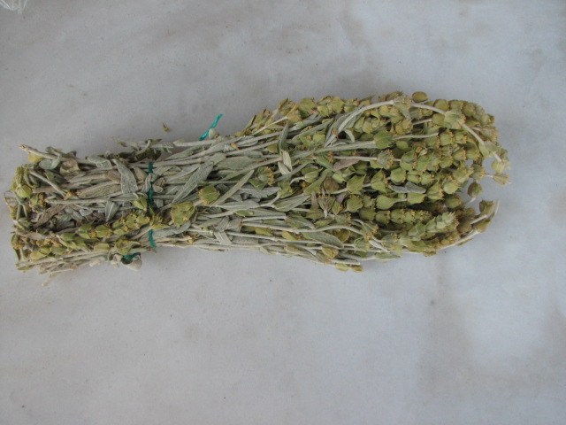 Griechischer Bergtee