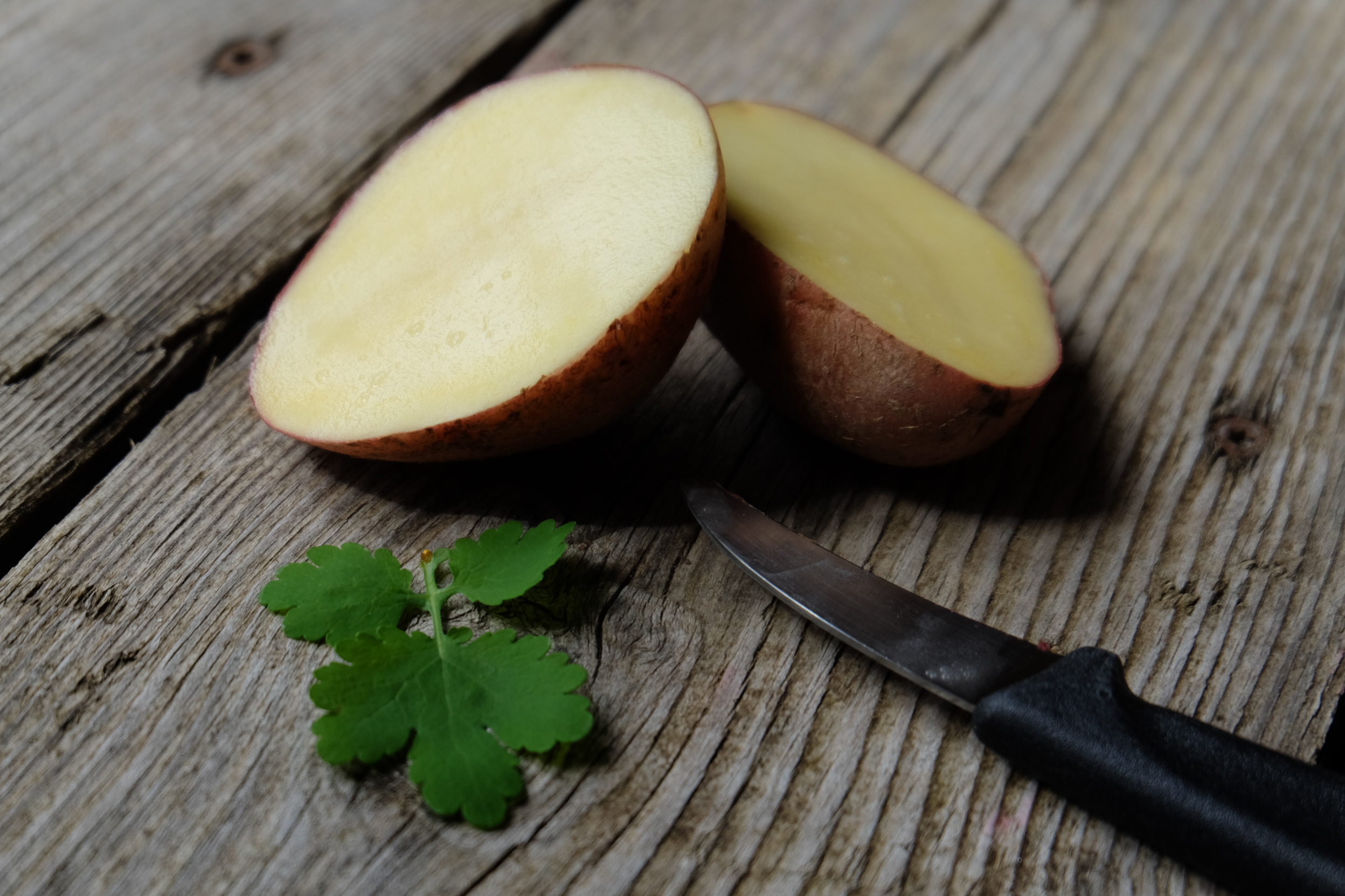 Kartoffeldruck
