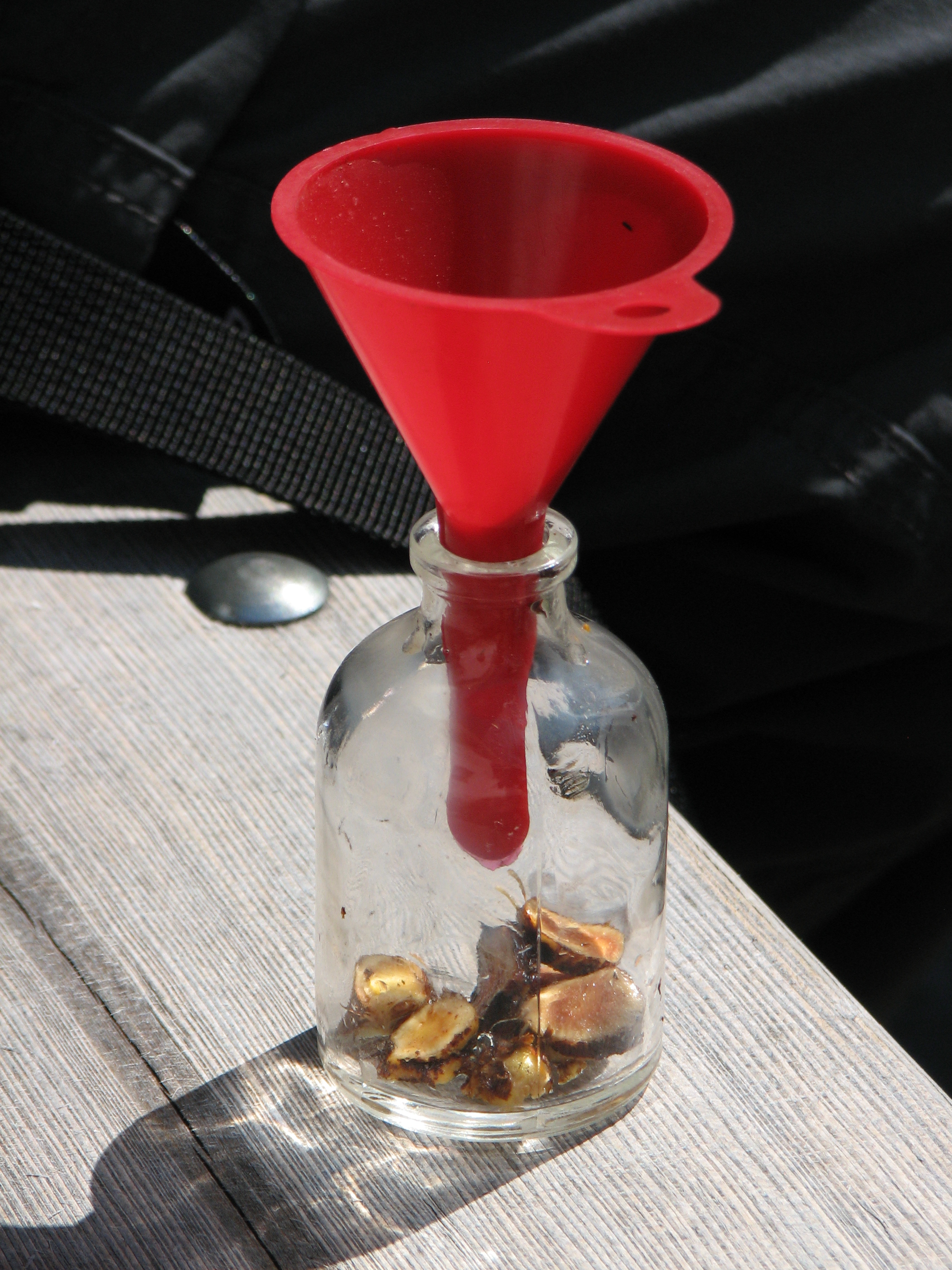 Blutwurztinktur, Blutwurztee, Blutwurzwein