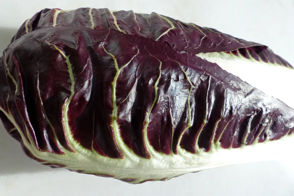 Radicchio