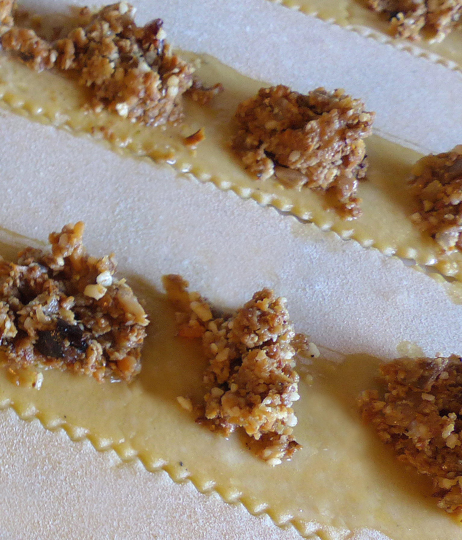 <p>Die Füllung wird auf die bestrichene Streifenhälfte gesetzt.</p>