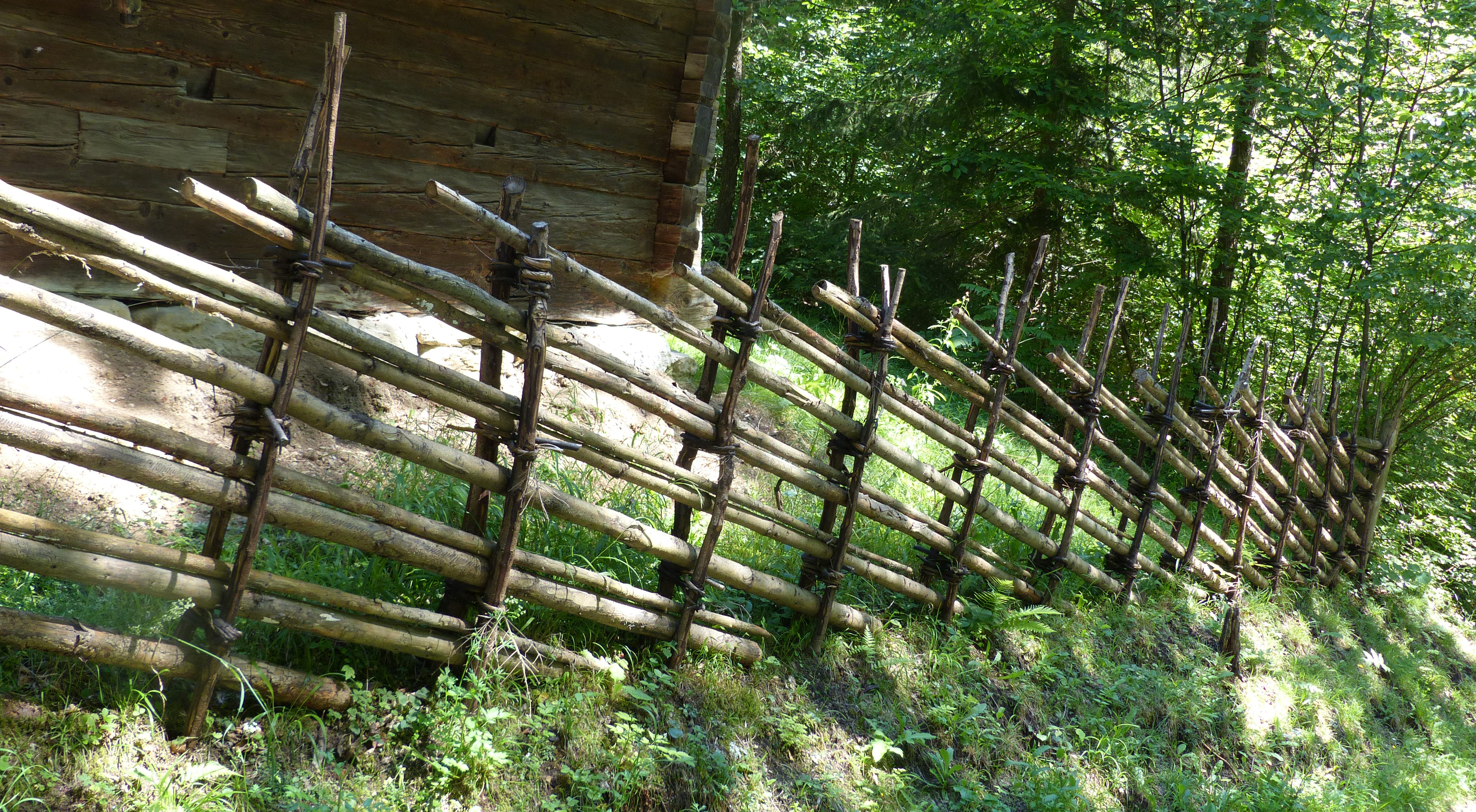 Weidenzäune  selber machen